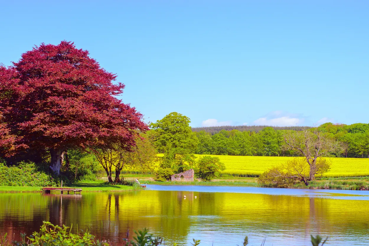 Entry 859176