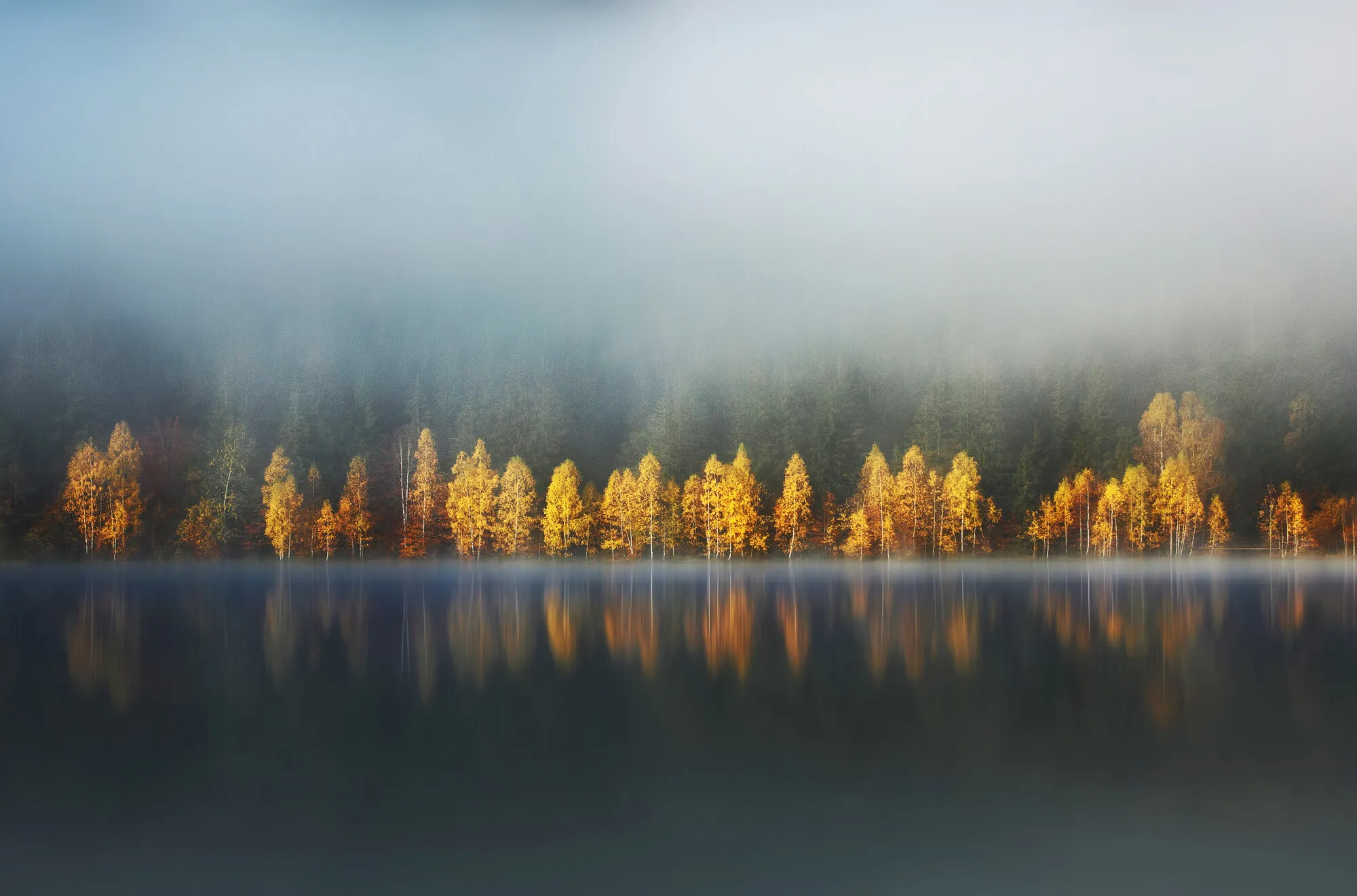 Morning reflection