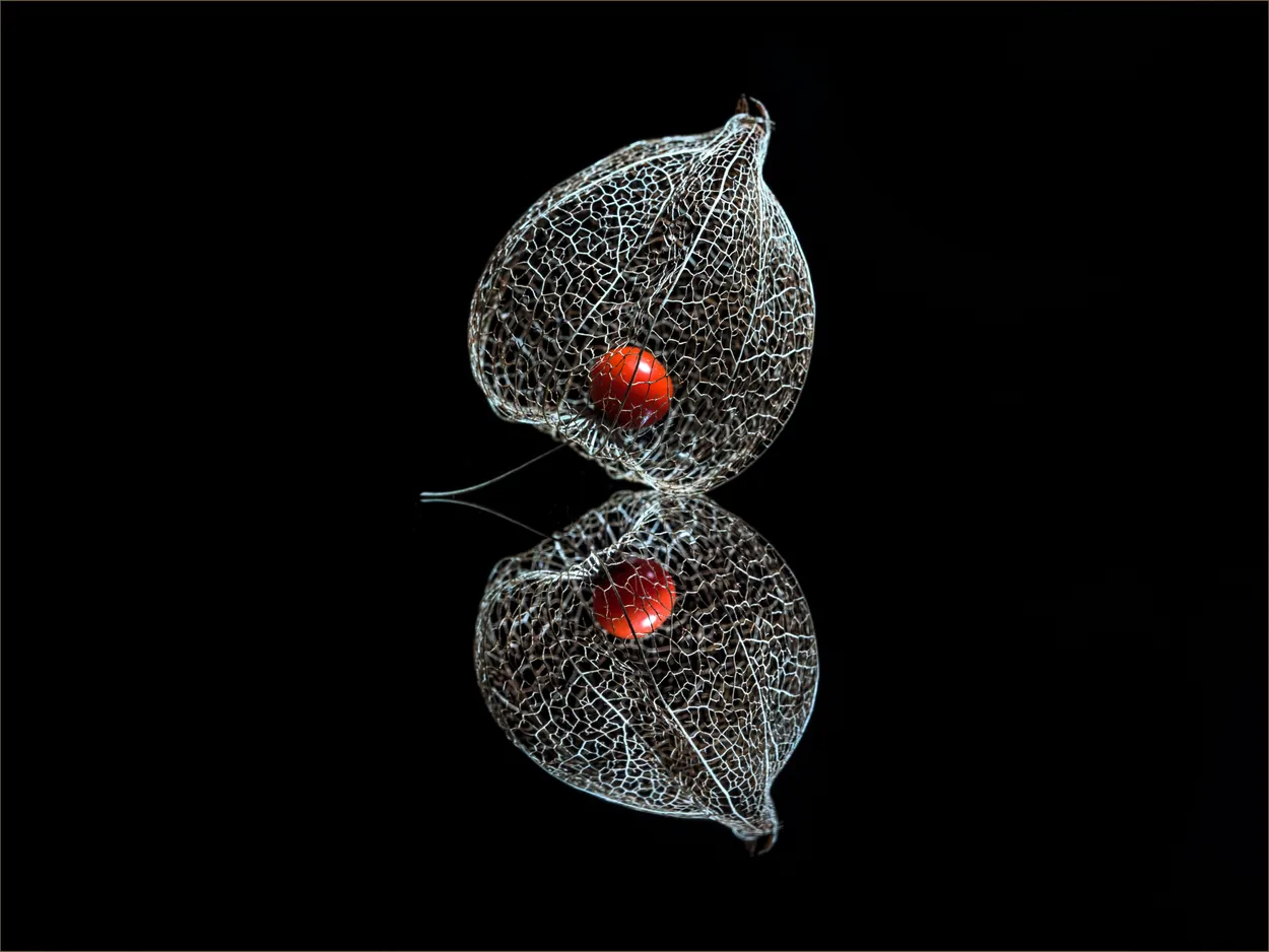 Shapes of Natural Objects - stilllife photo contest | Photocrowd photo ...