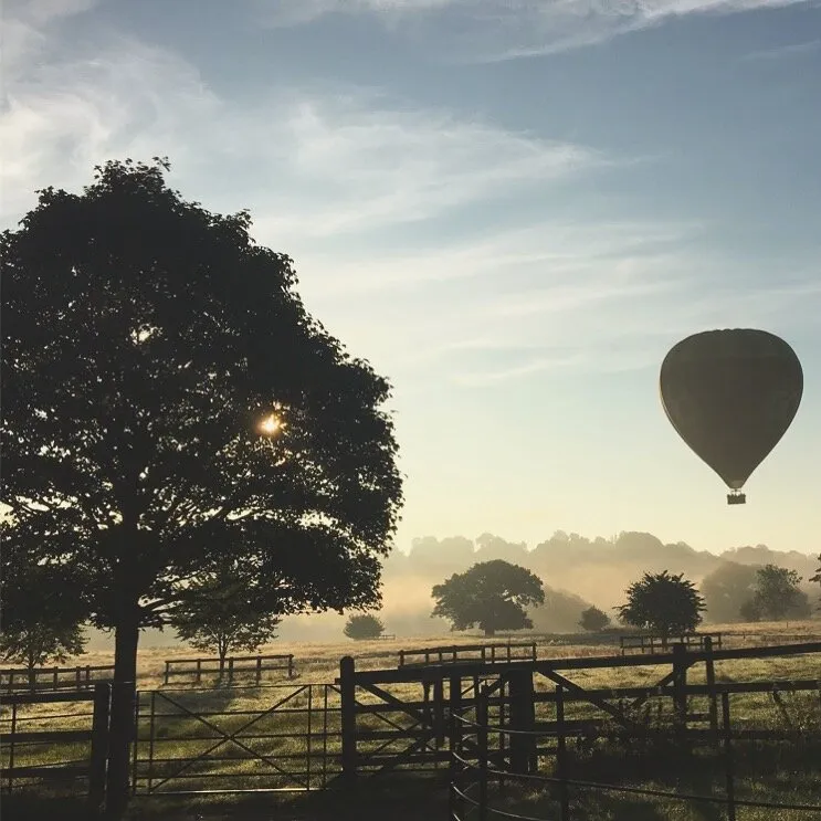 A springs morning