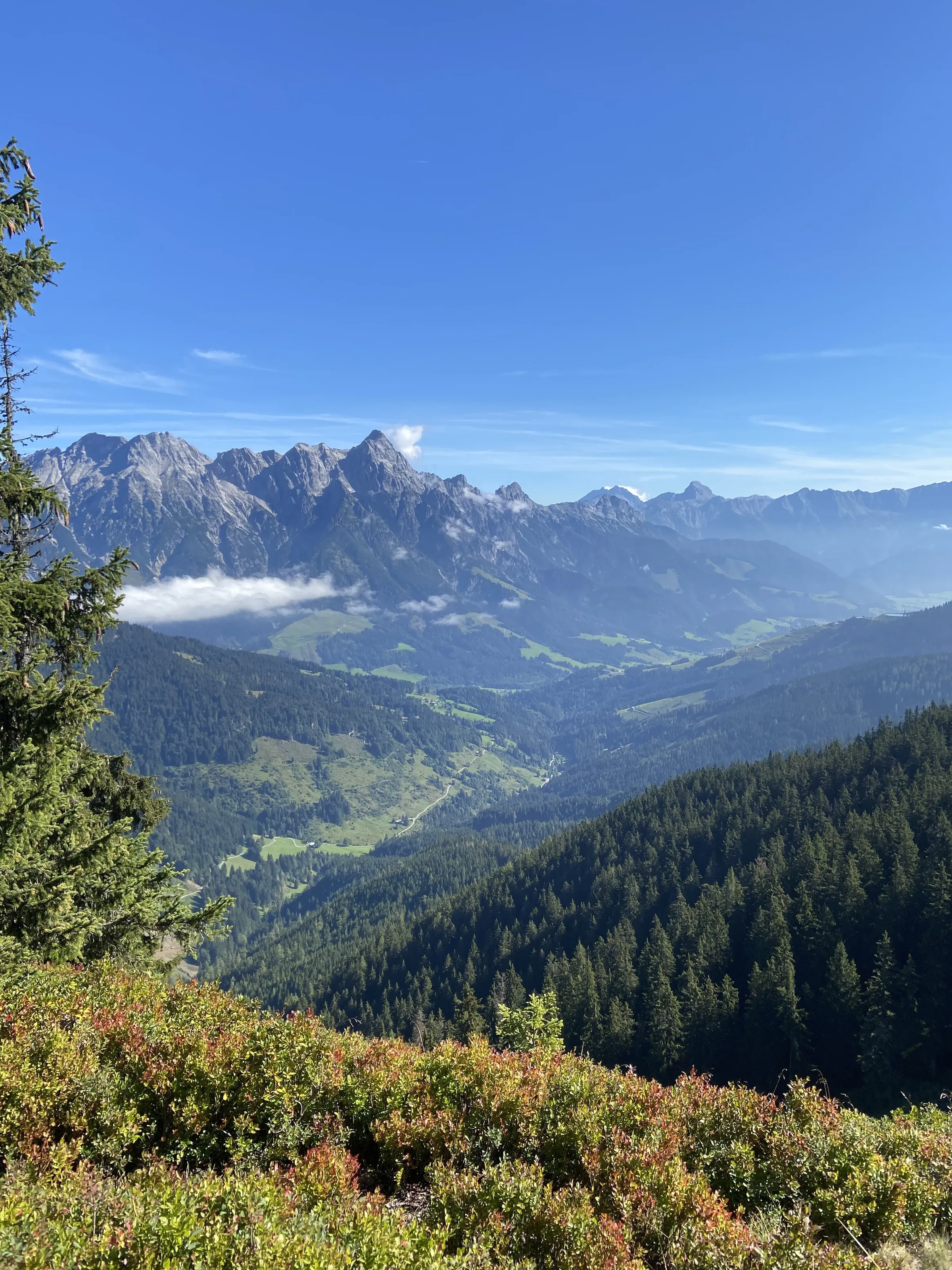 Austrian Mountains