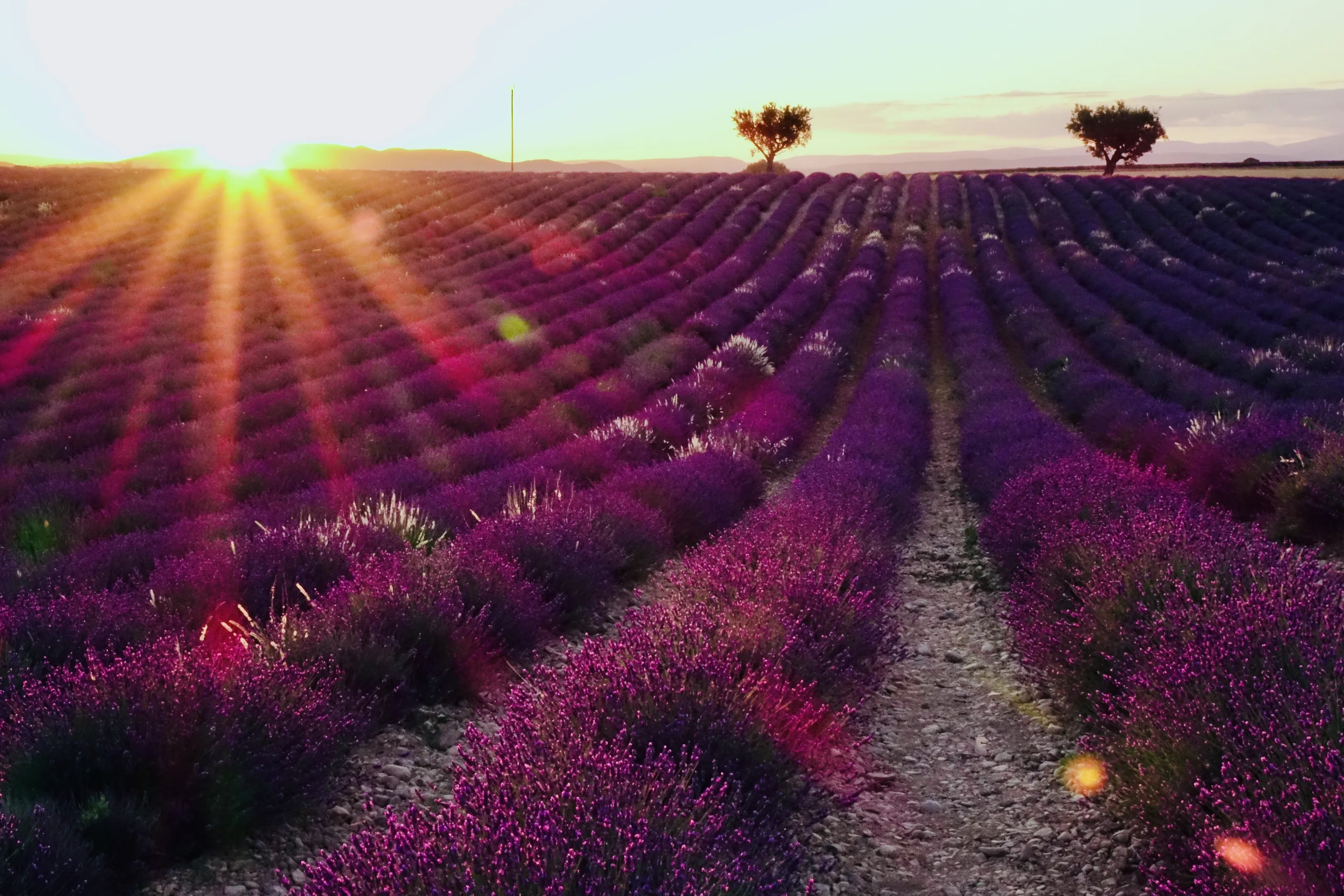 Valensole