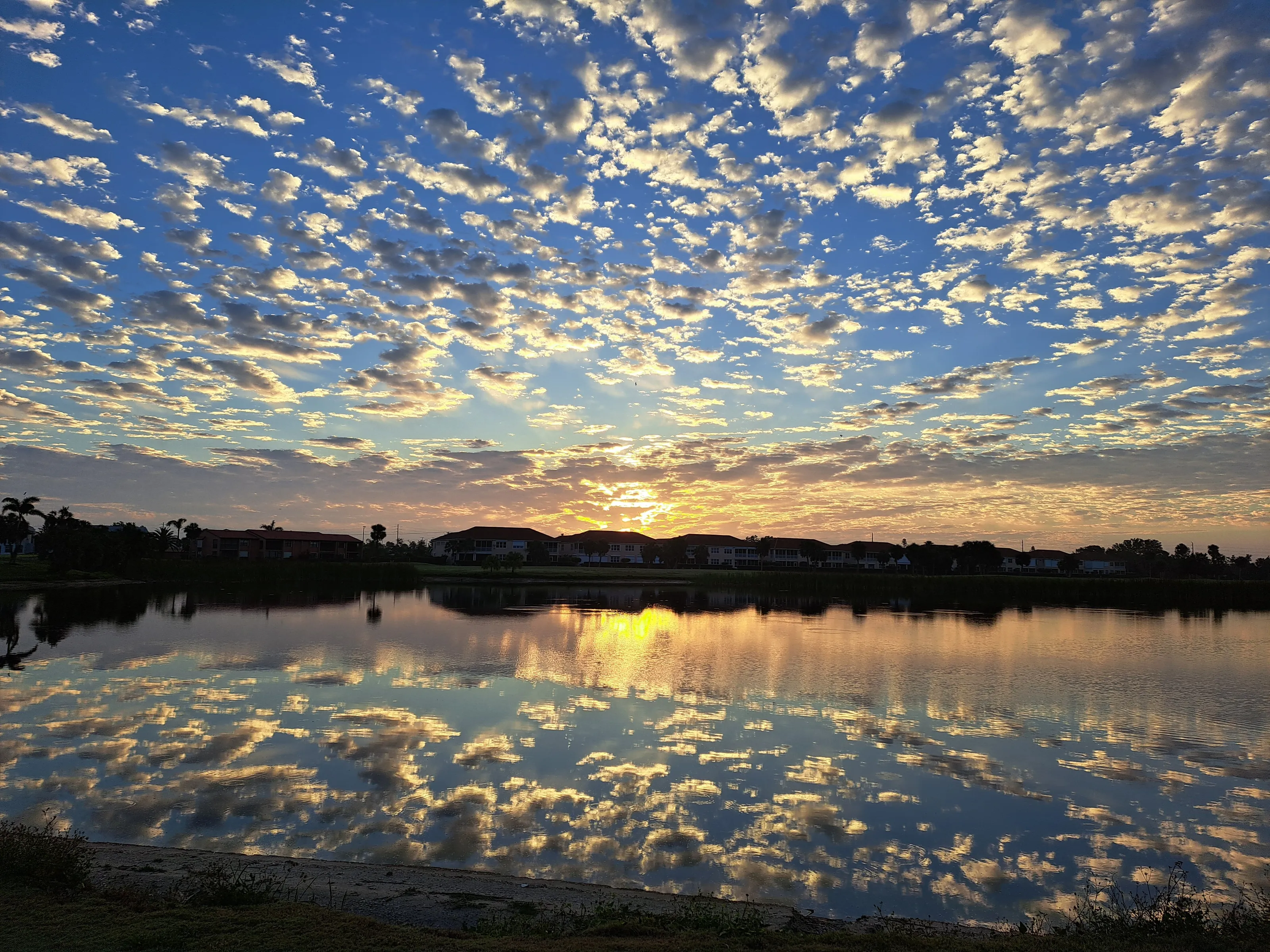 Reflection's