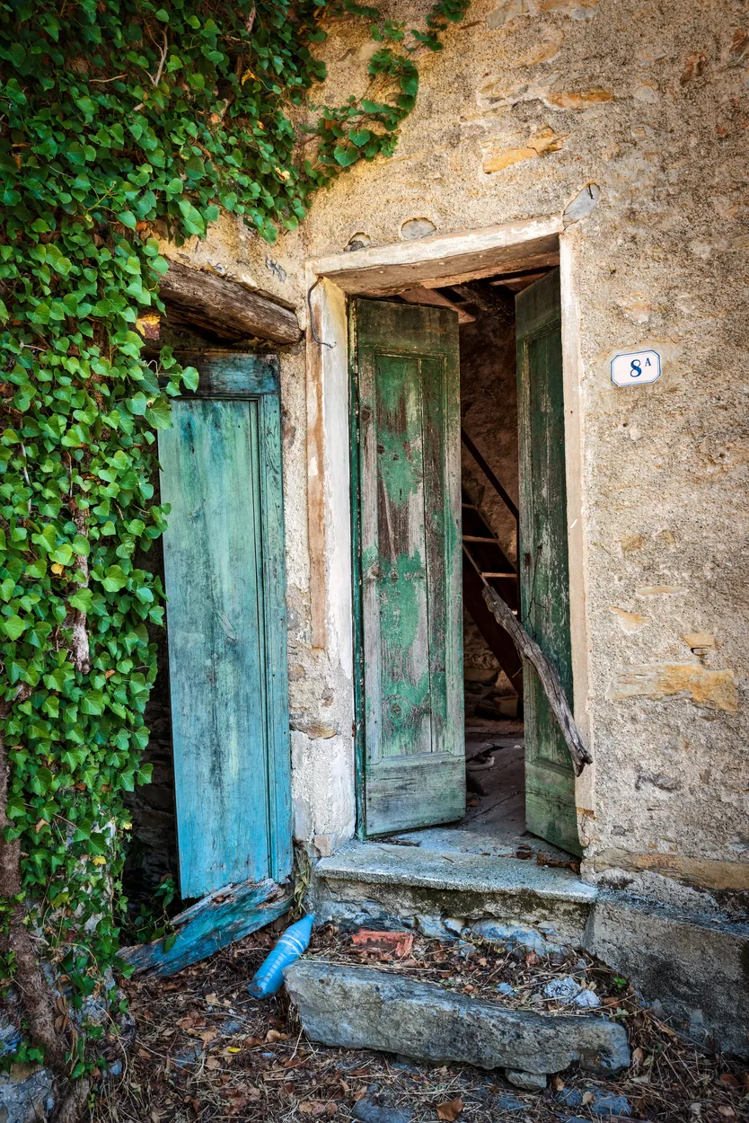 Entry 18356086