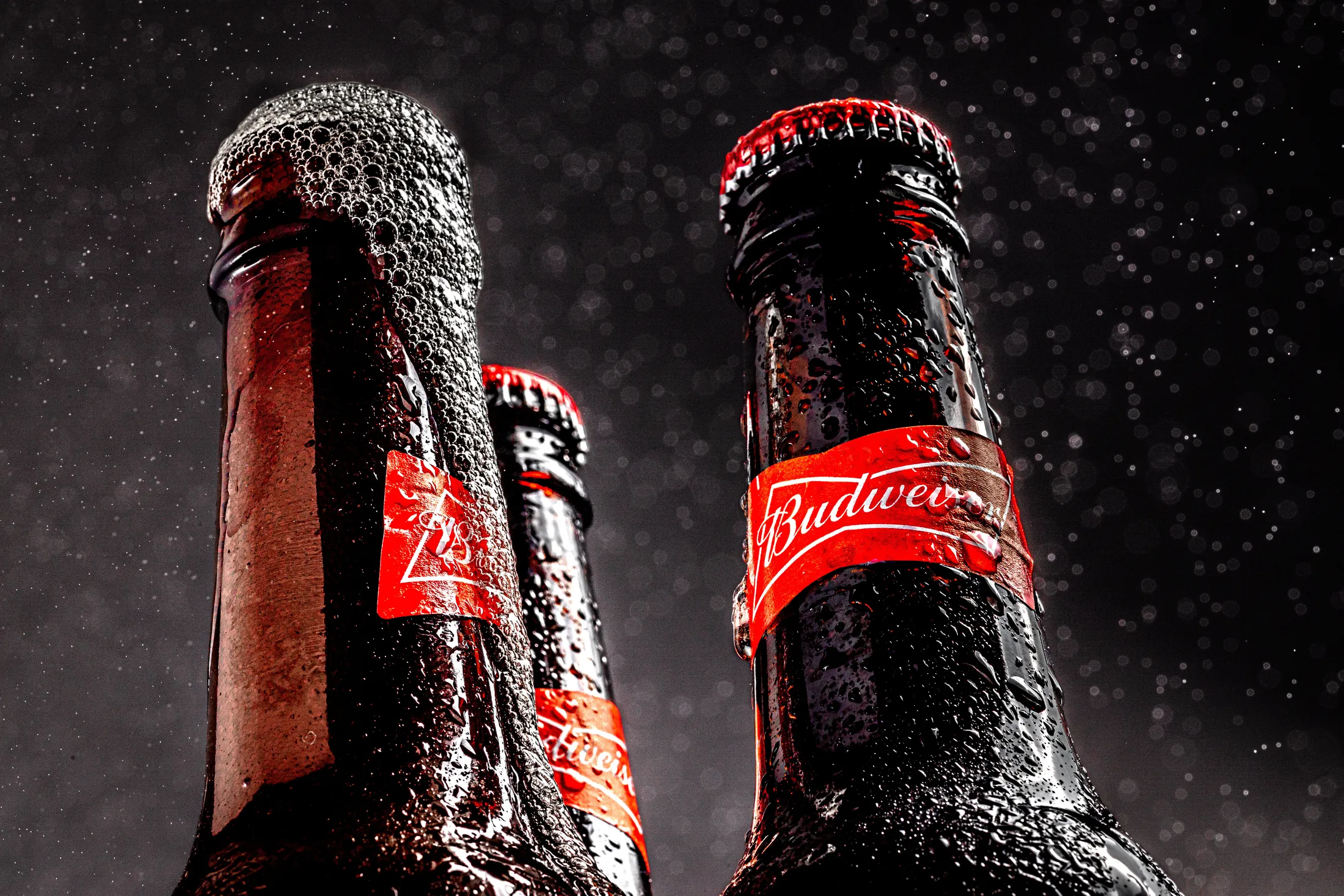 King of beers