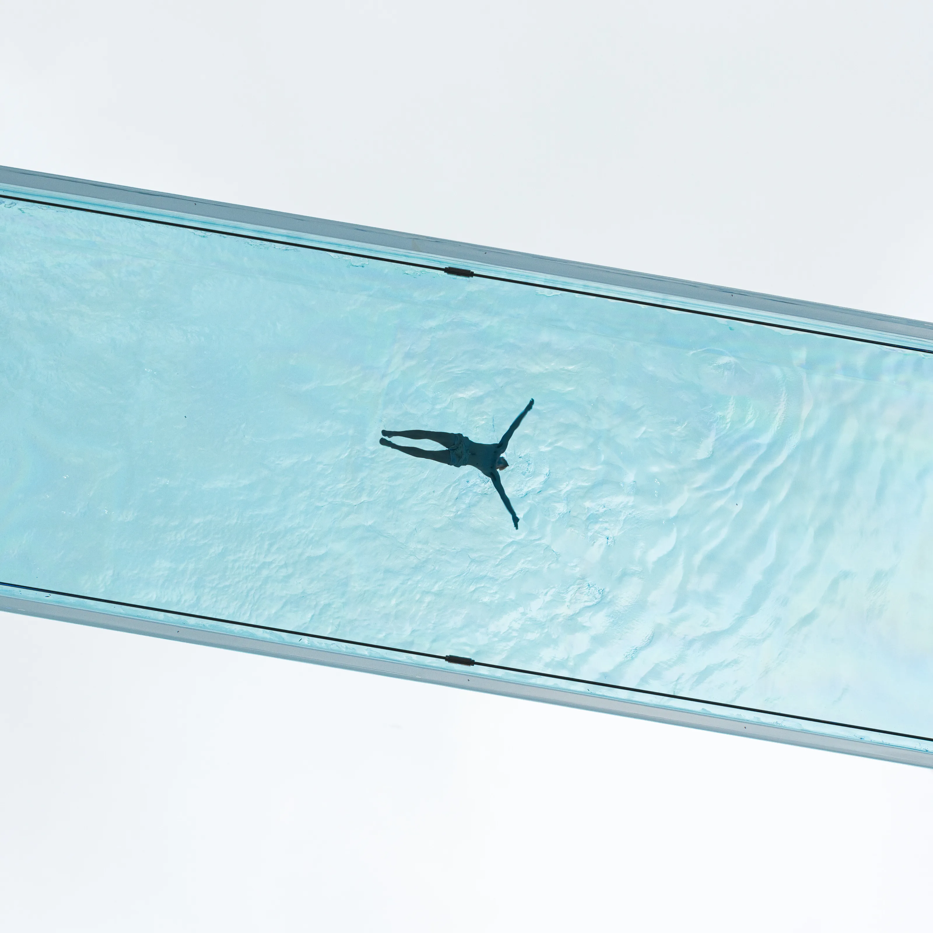 The Swimmer