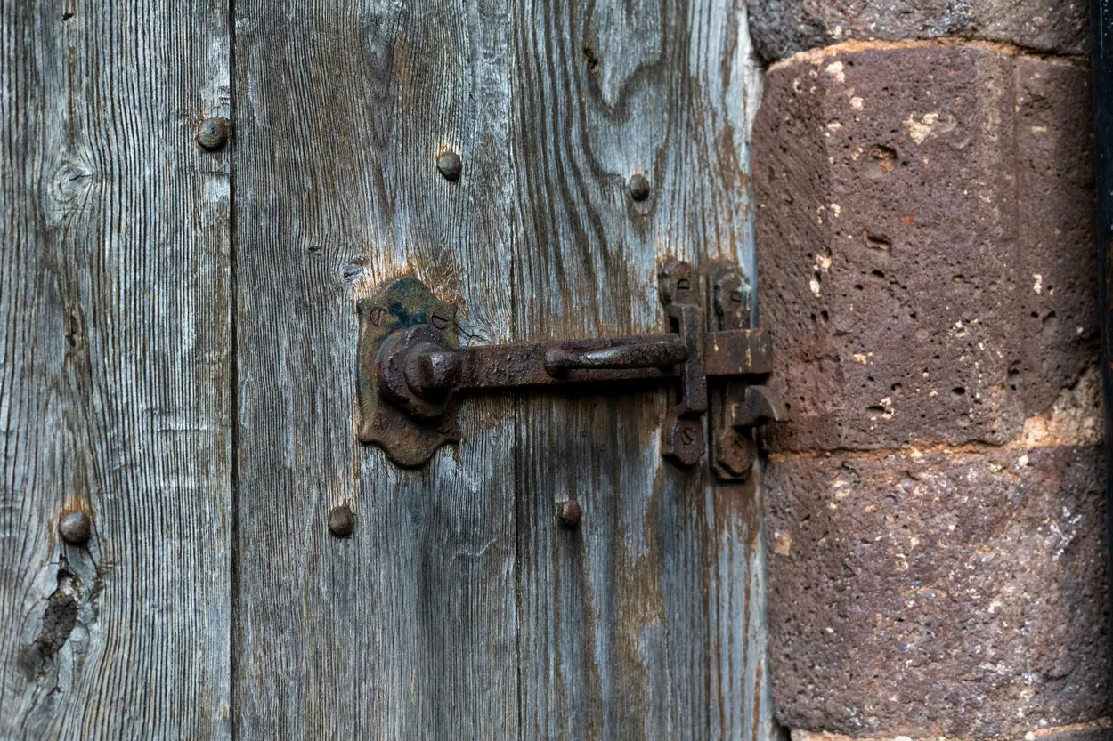 Entry 16698137