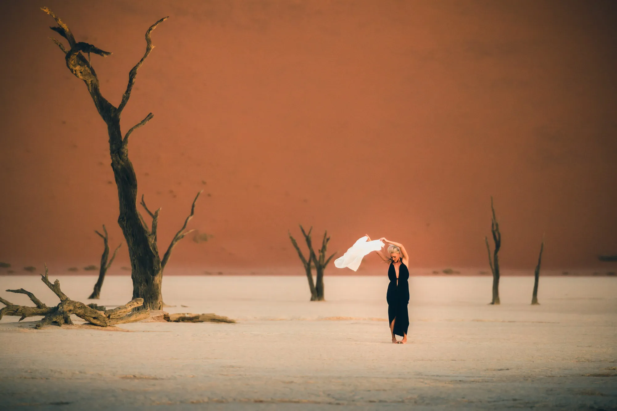 Deadvlei Beauty