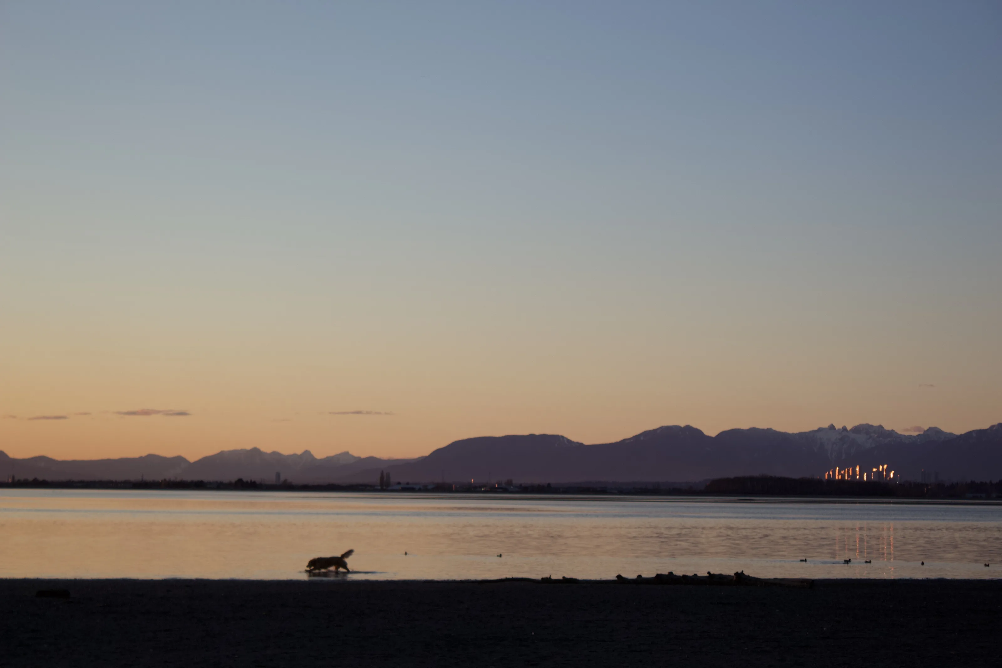 Crescent Beach