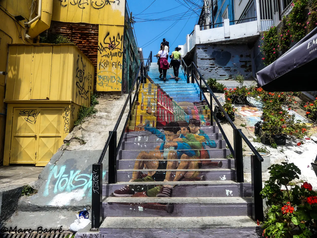 Entry 22873186