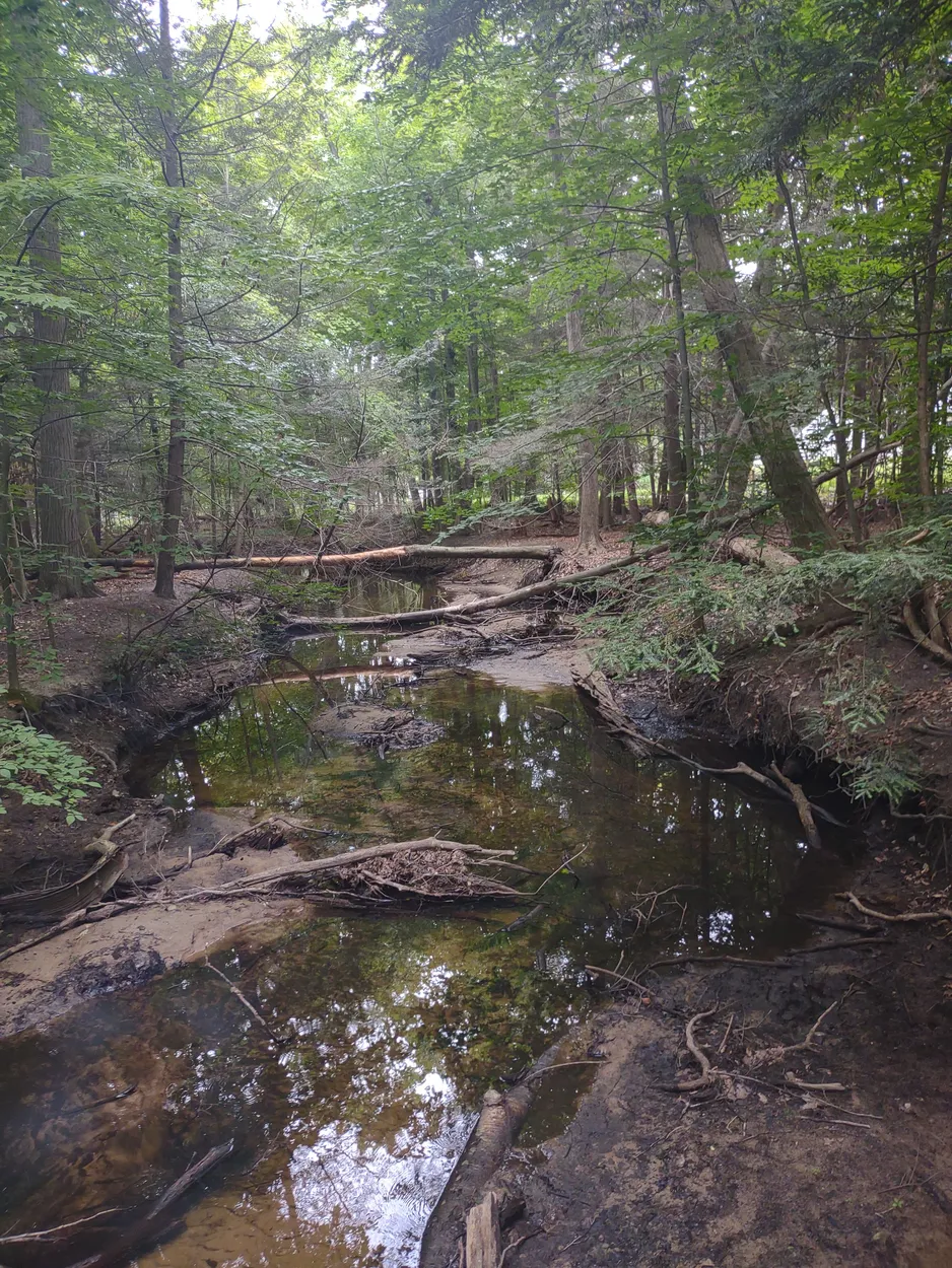 Entry 16364614