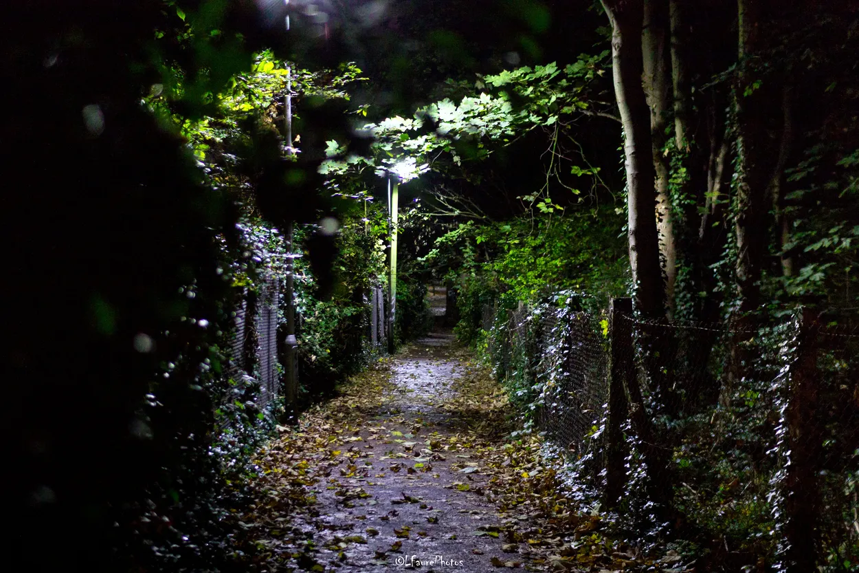 Chiswick Footpath