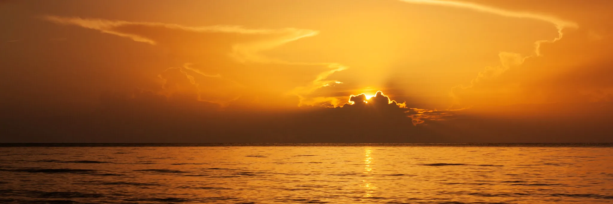 Gilded Ocean