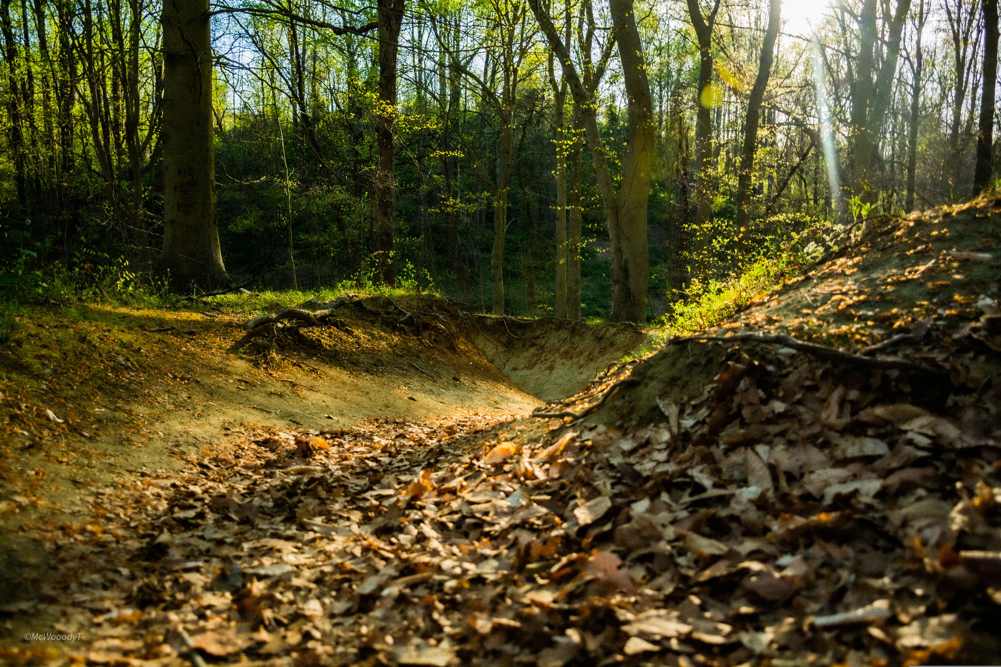 Patapsco State Park, Trail