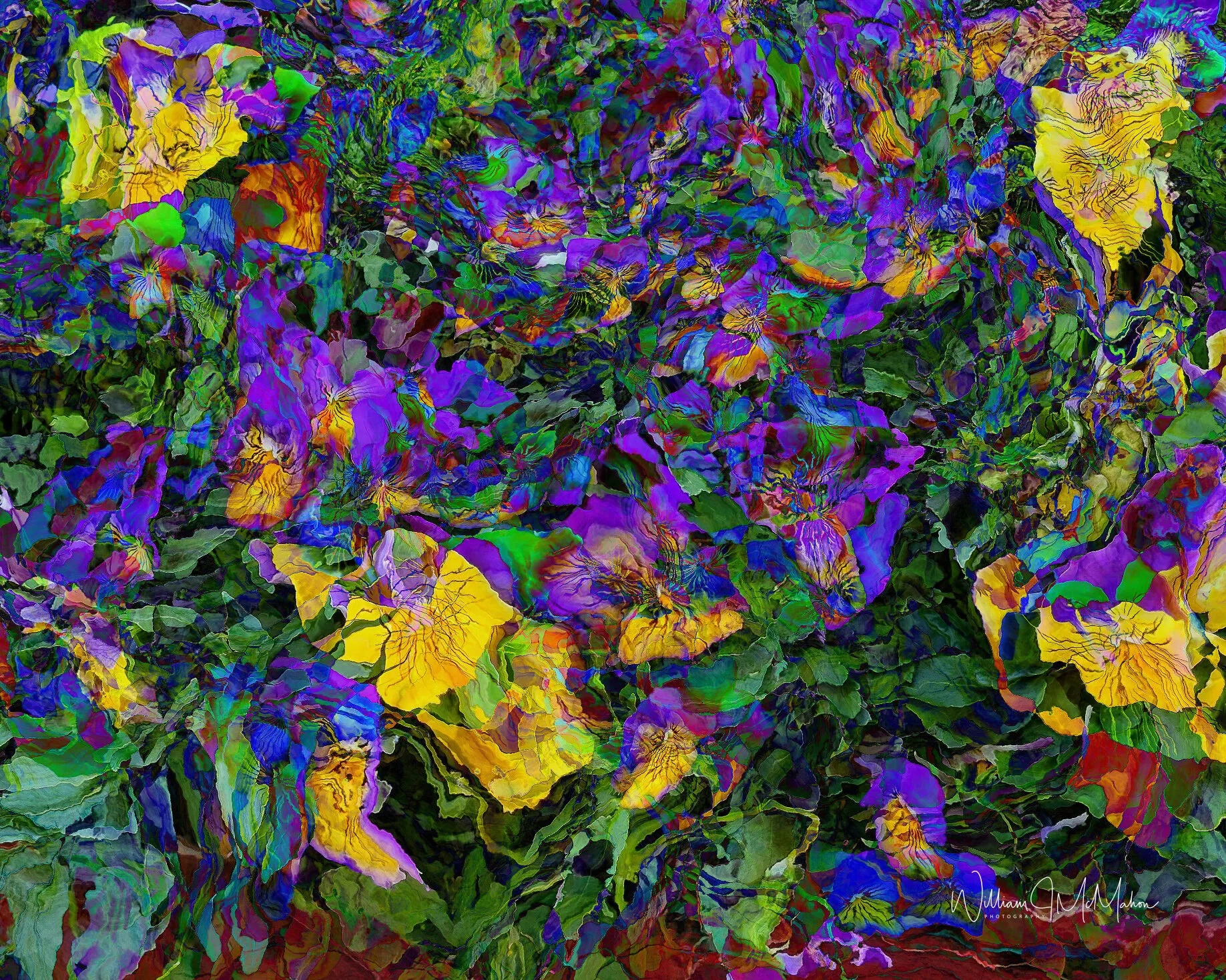 Flower Frenzy