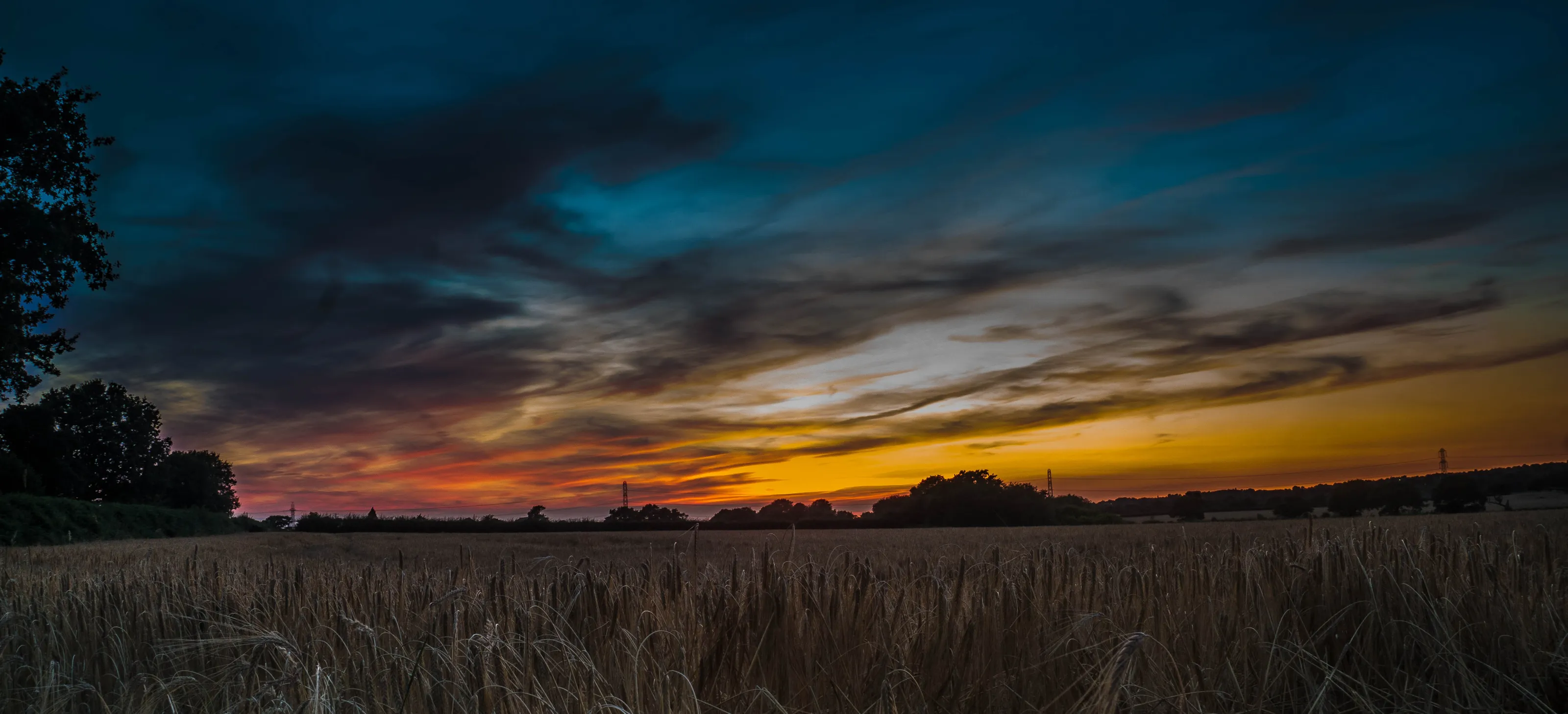Golden Hour in a local farmers field