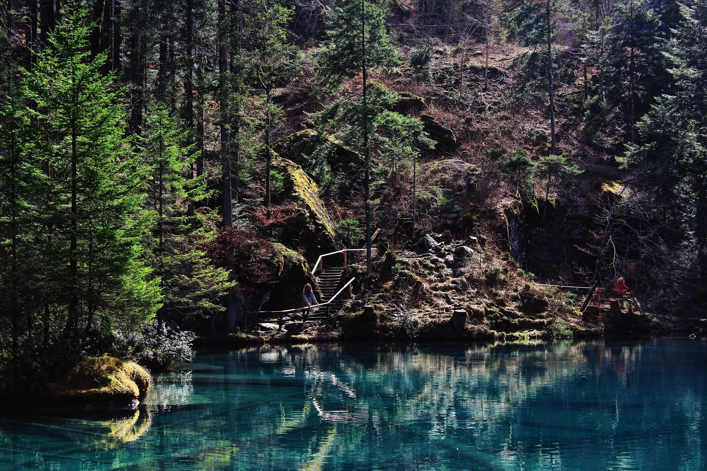 Quiescence