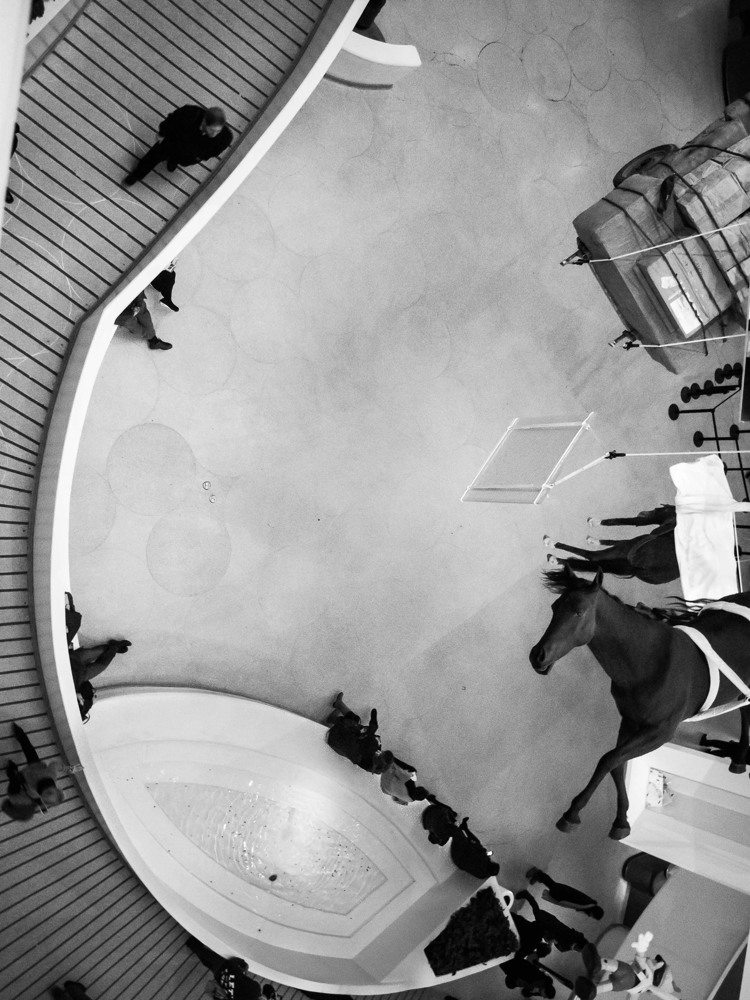 Cattelan, Guggenheim