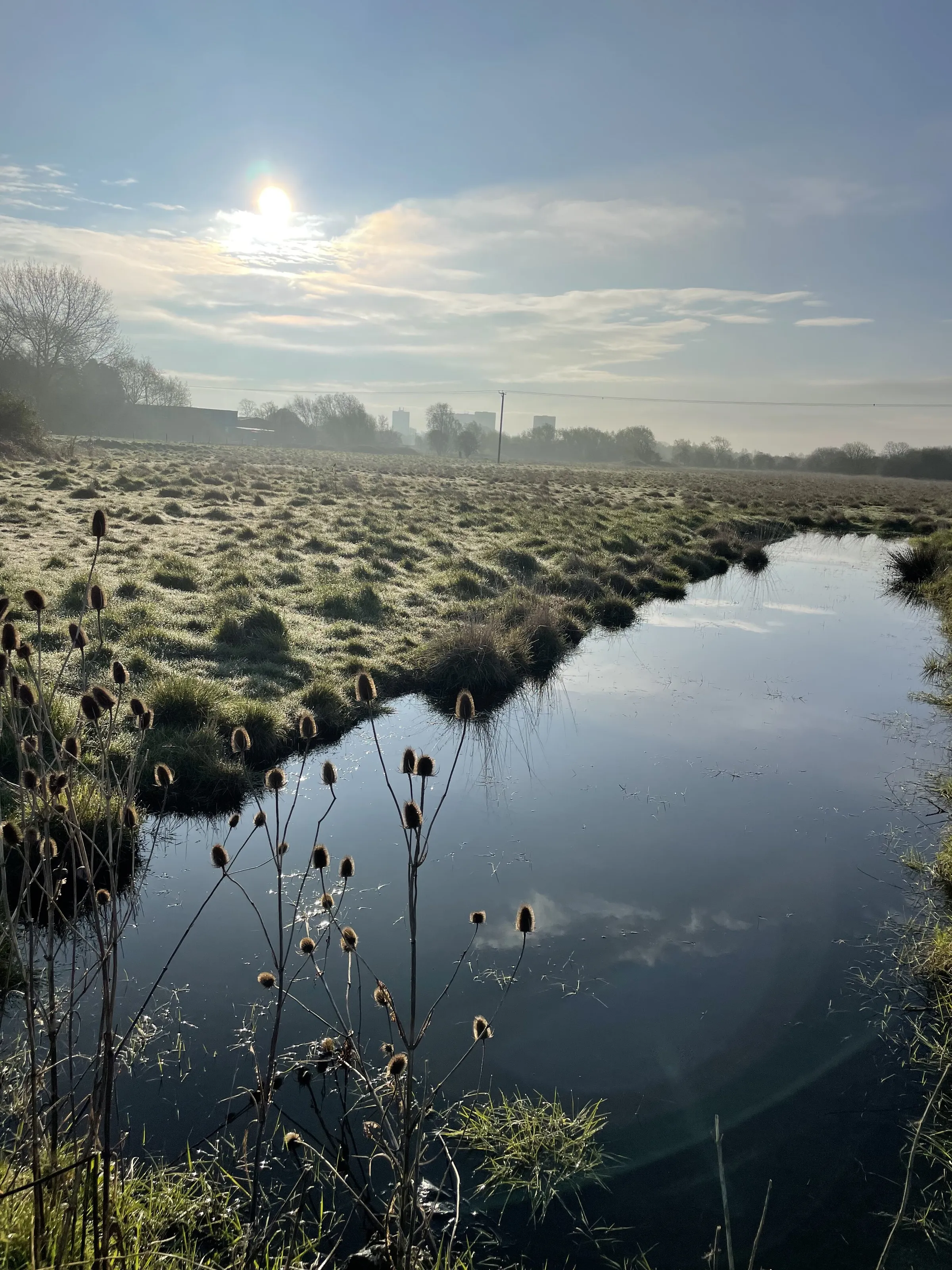 Spring morning walk