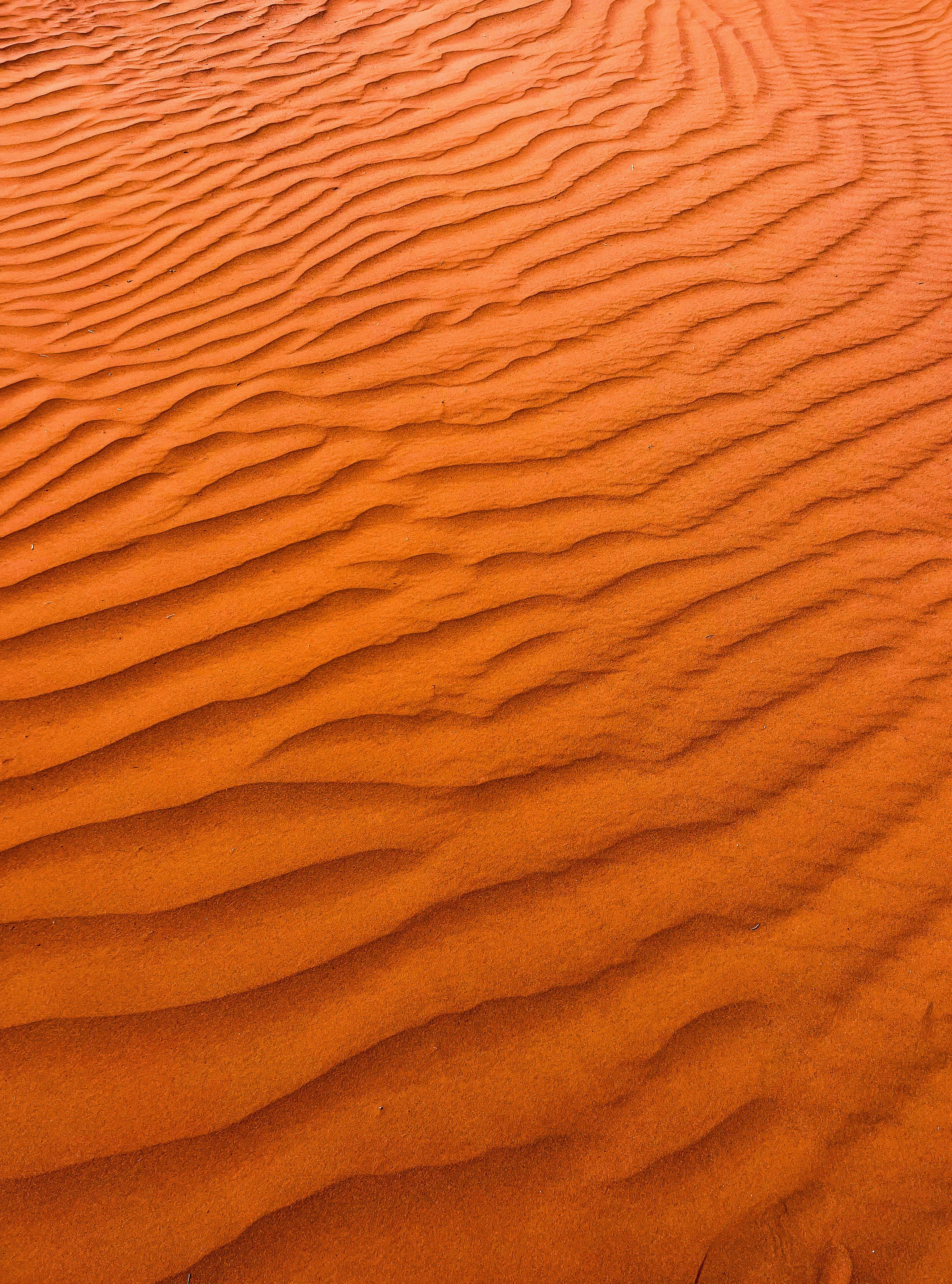 Windswept Sand