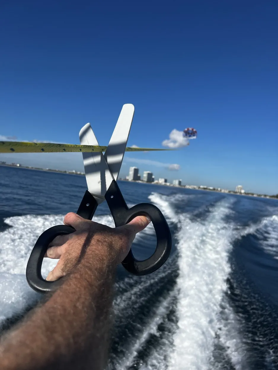 Entry 16400846