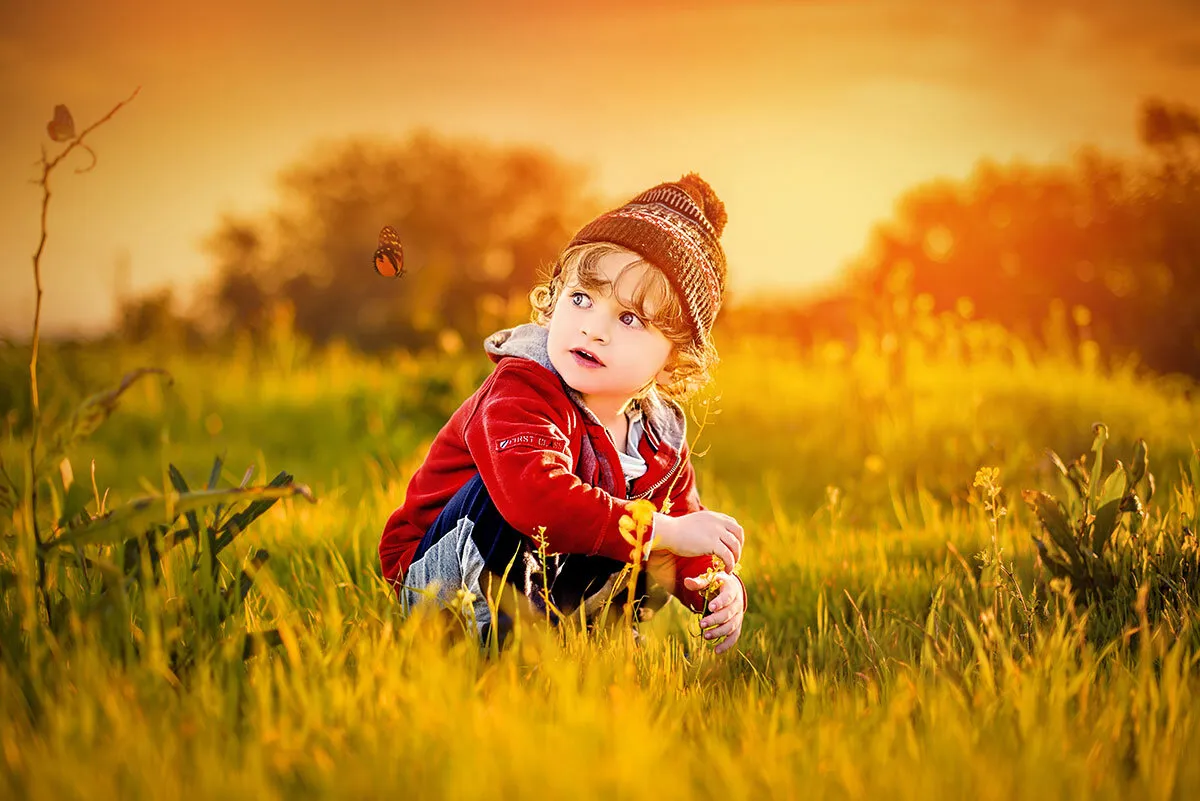 Entry 79645