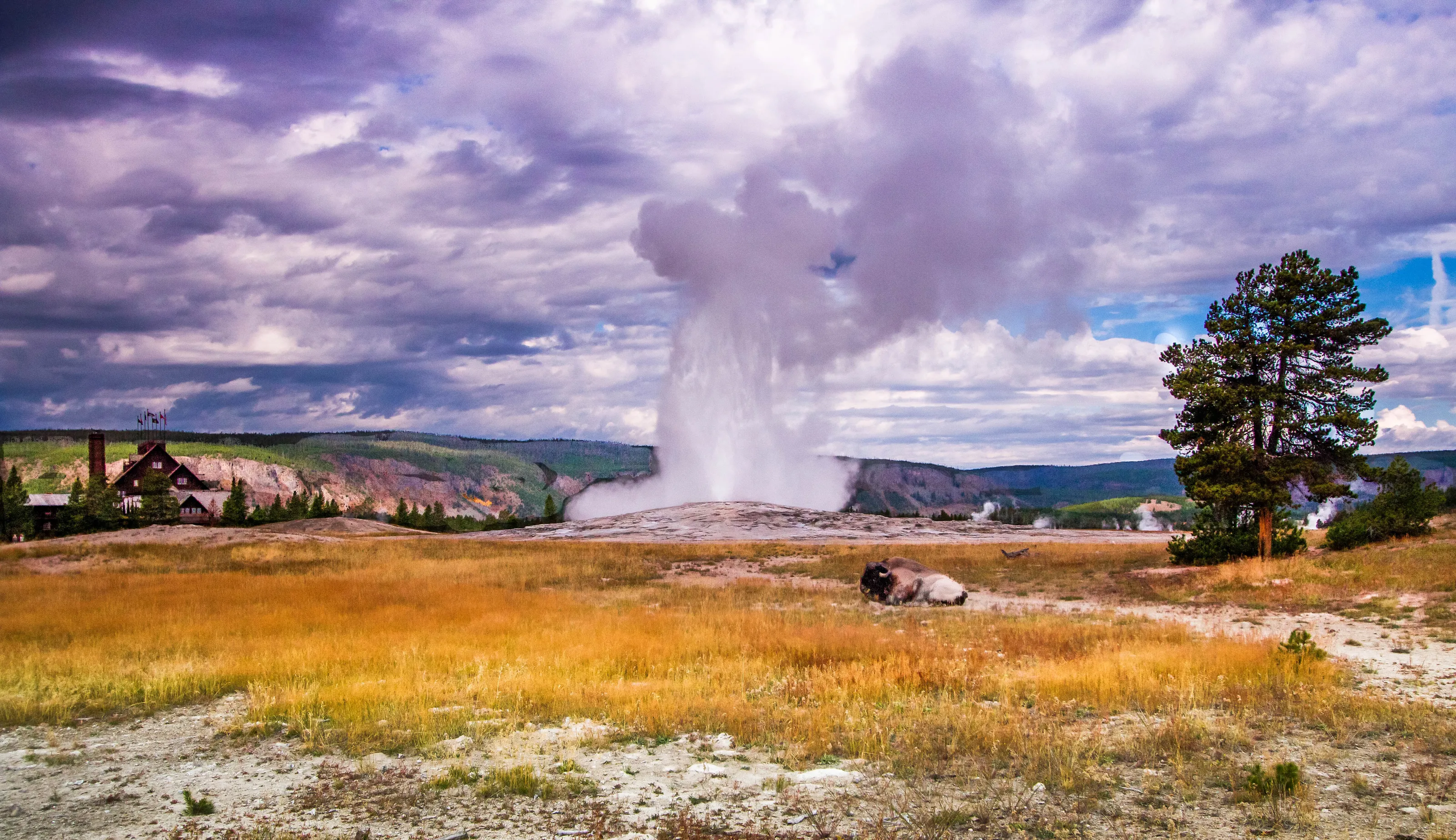 Old Faithful Erupts