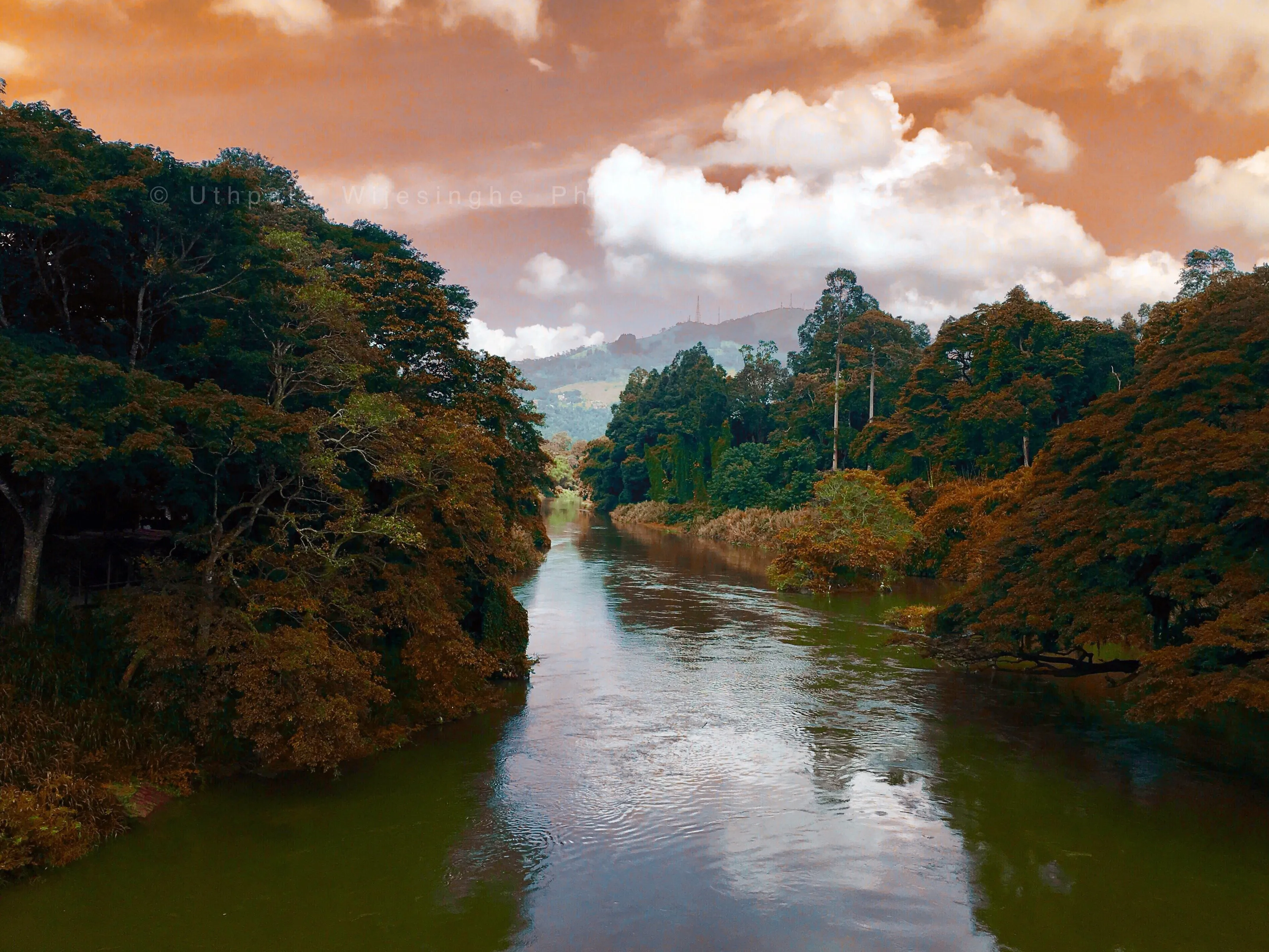 The Mahaweli river.