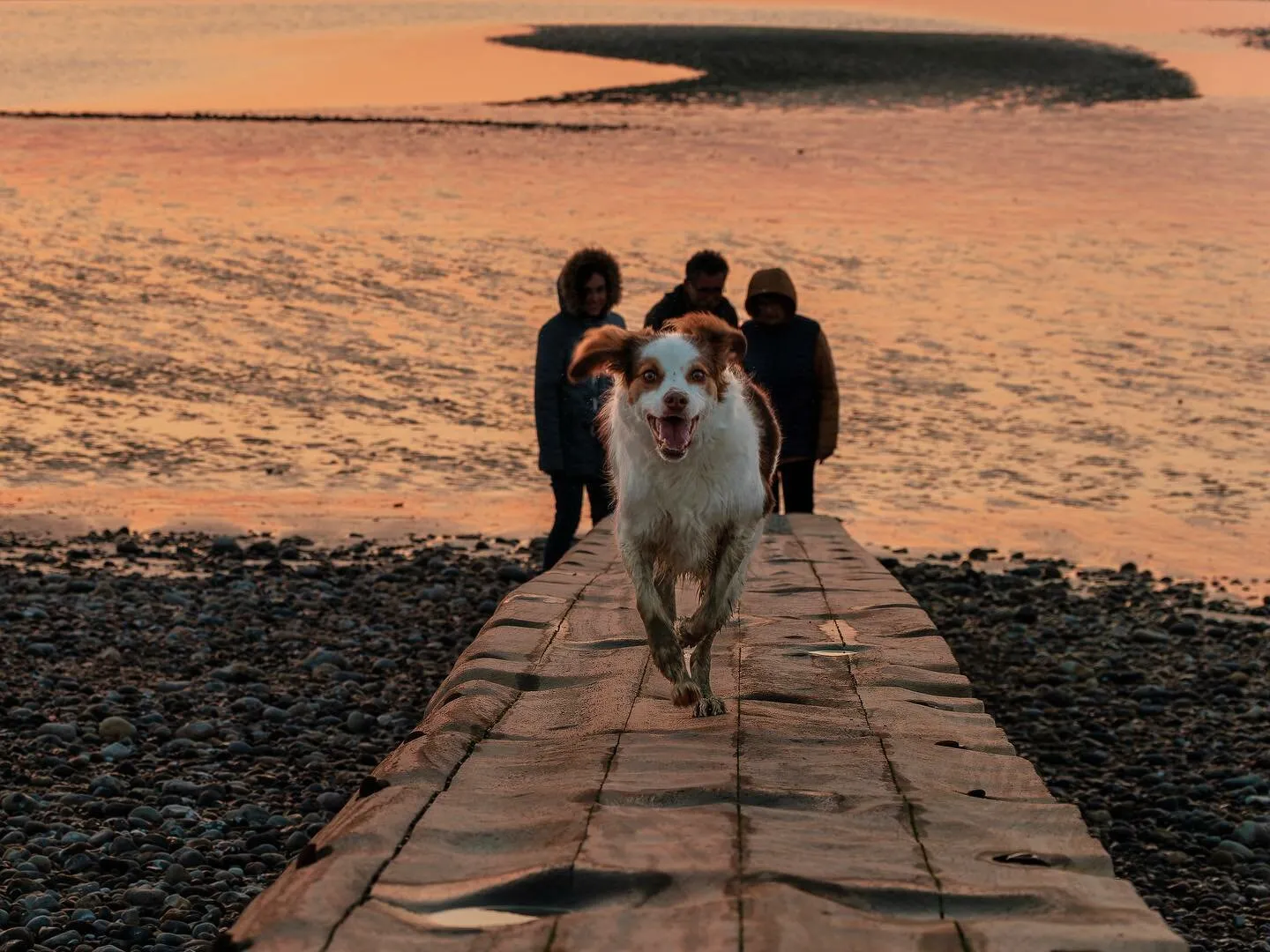 Run, beach and happiness