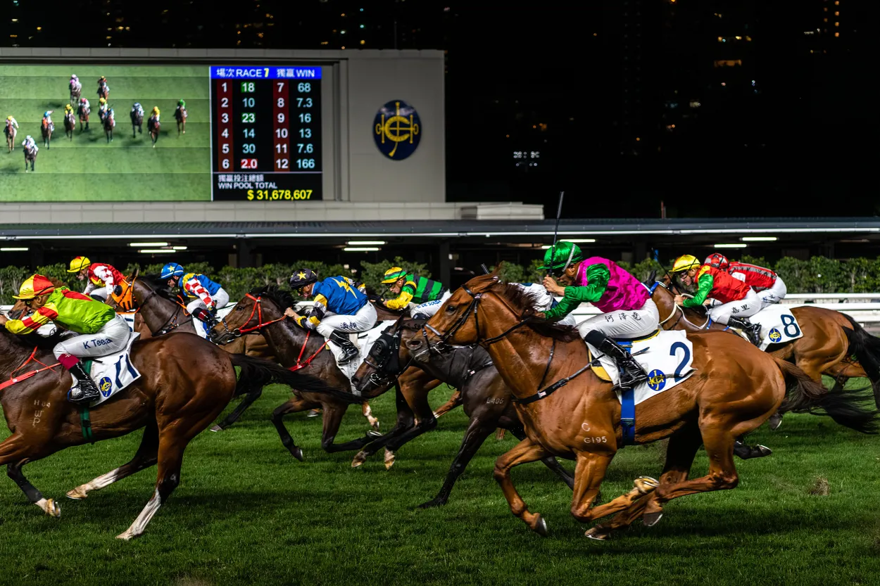 Entry 20002882
