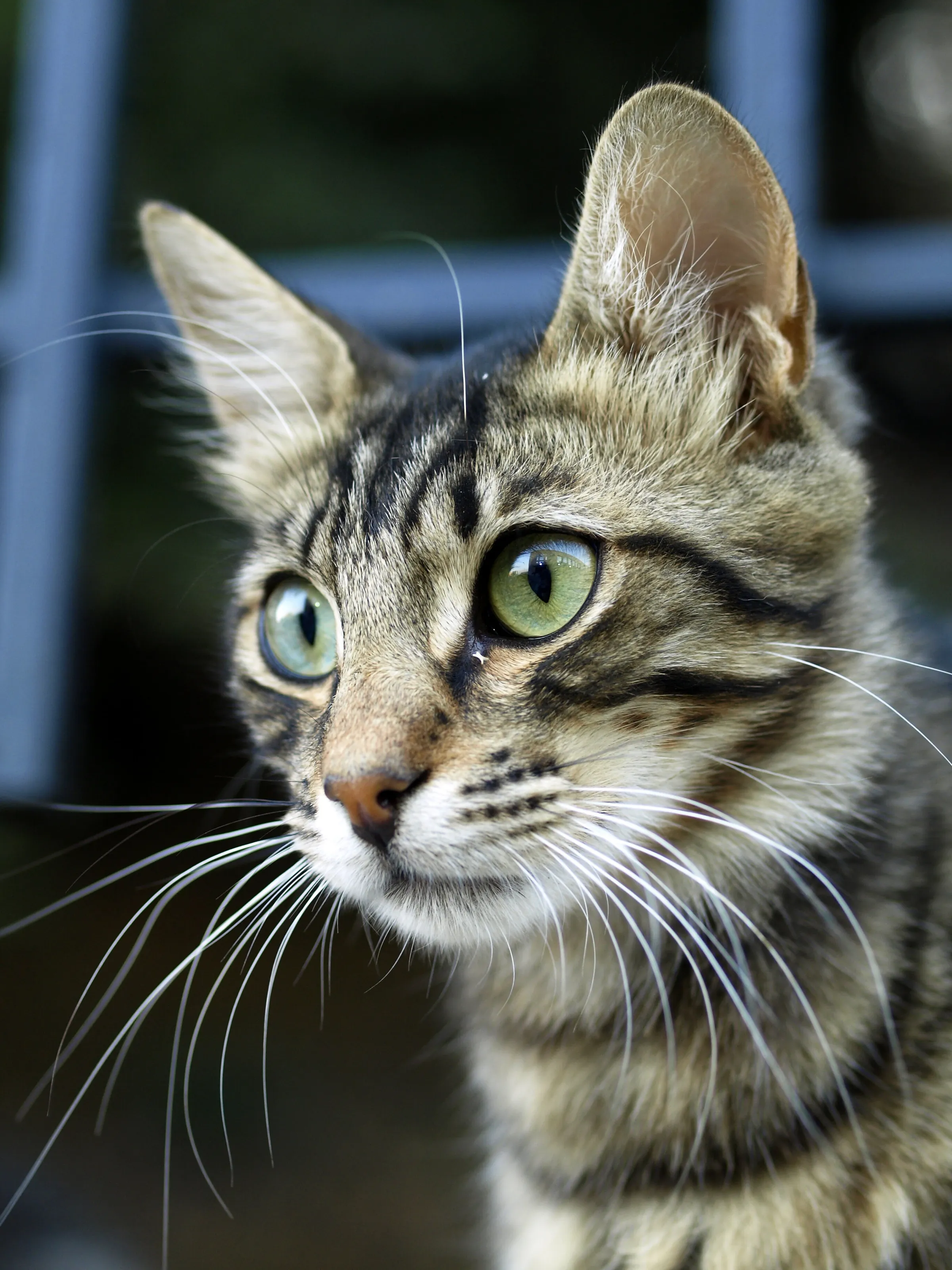 Curious look