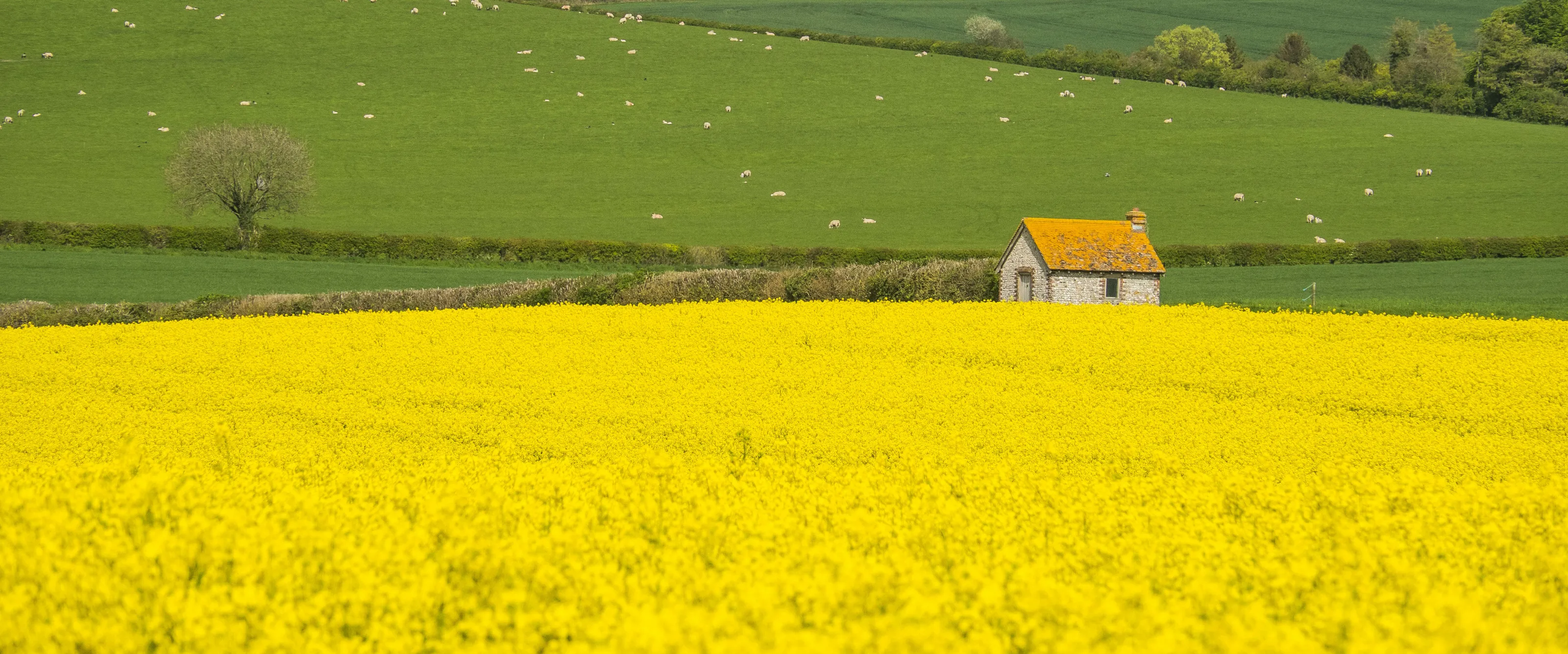 Stocks Farm 4