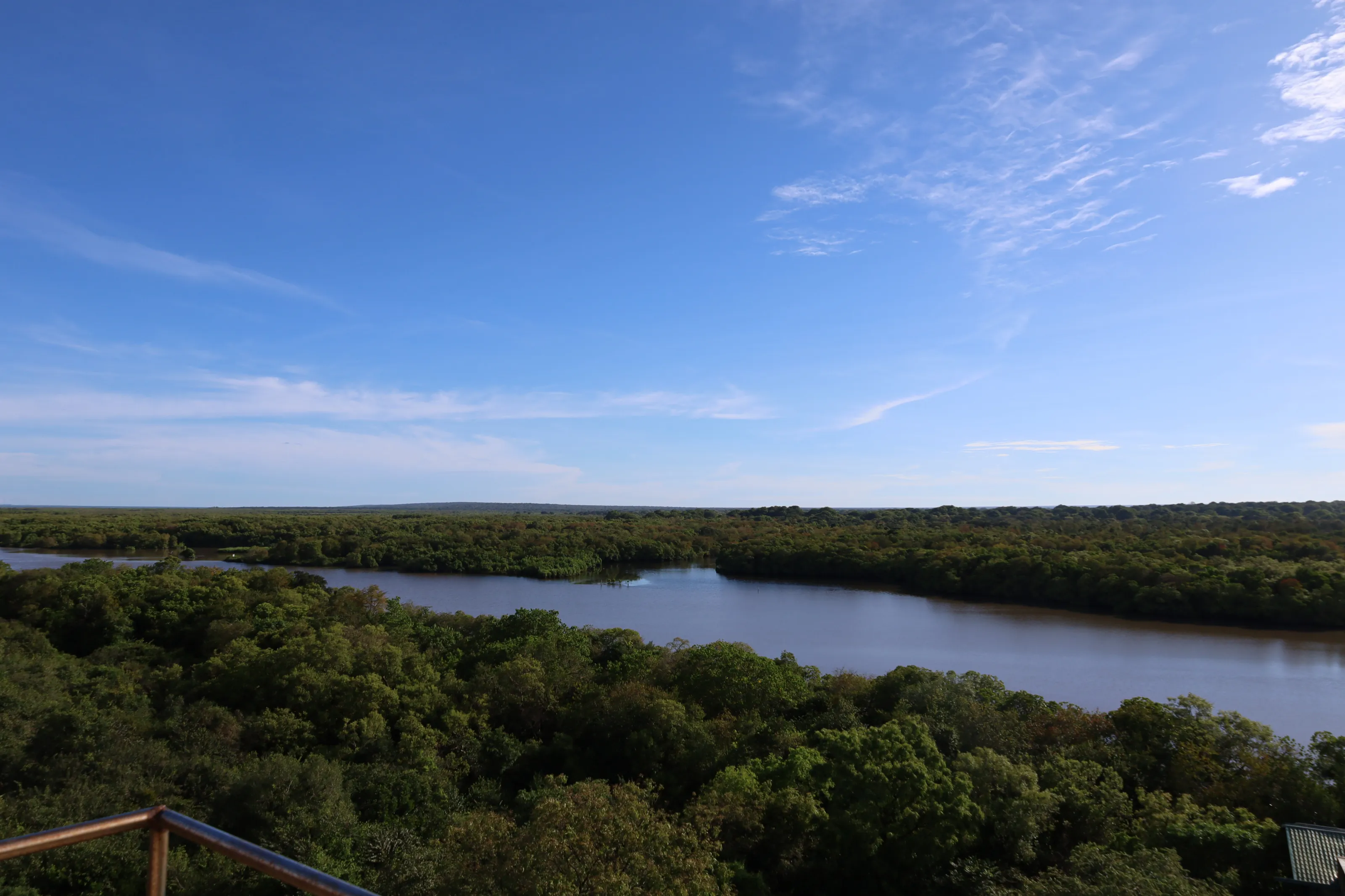 View