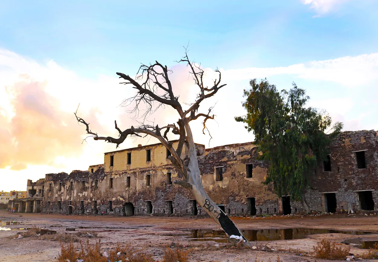 Entry 25285355