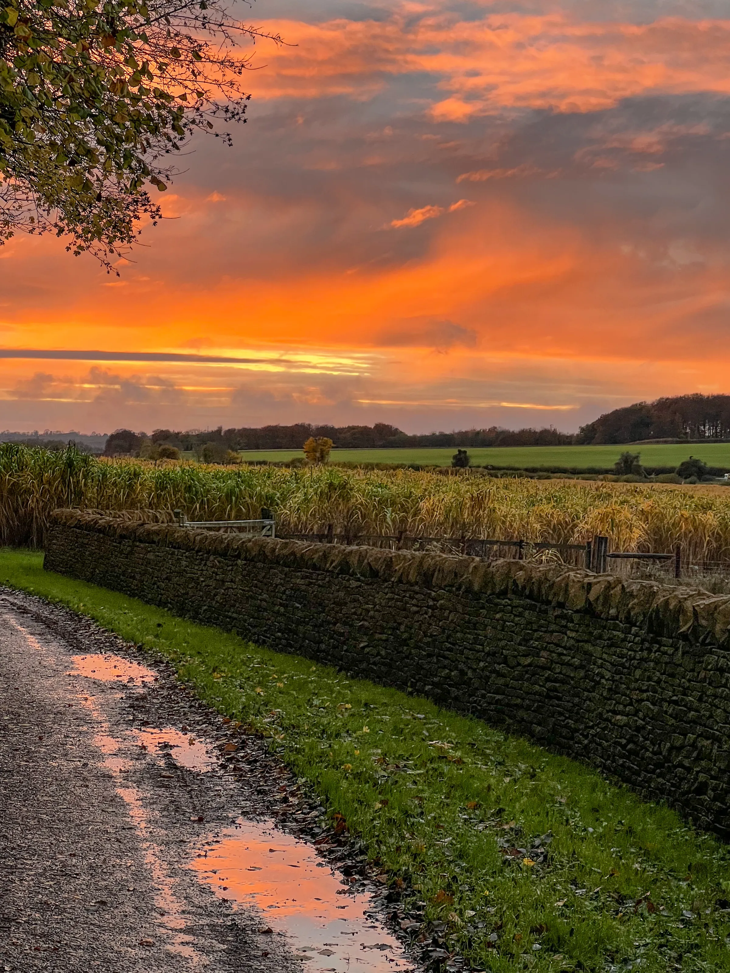 A sudden sunset