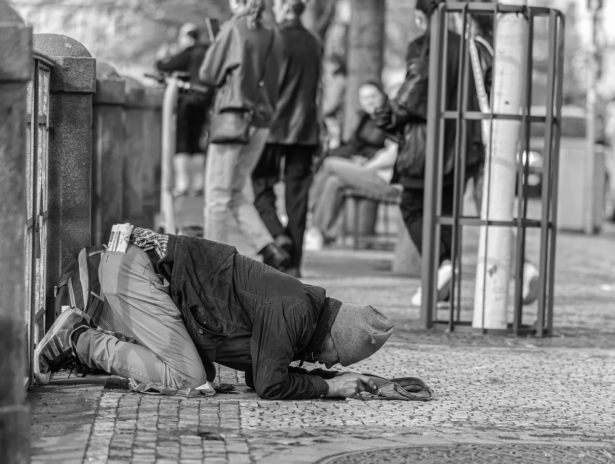 Entry 16454946