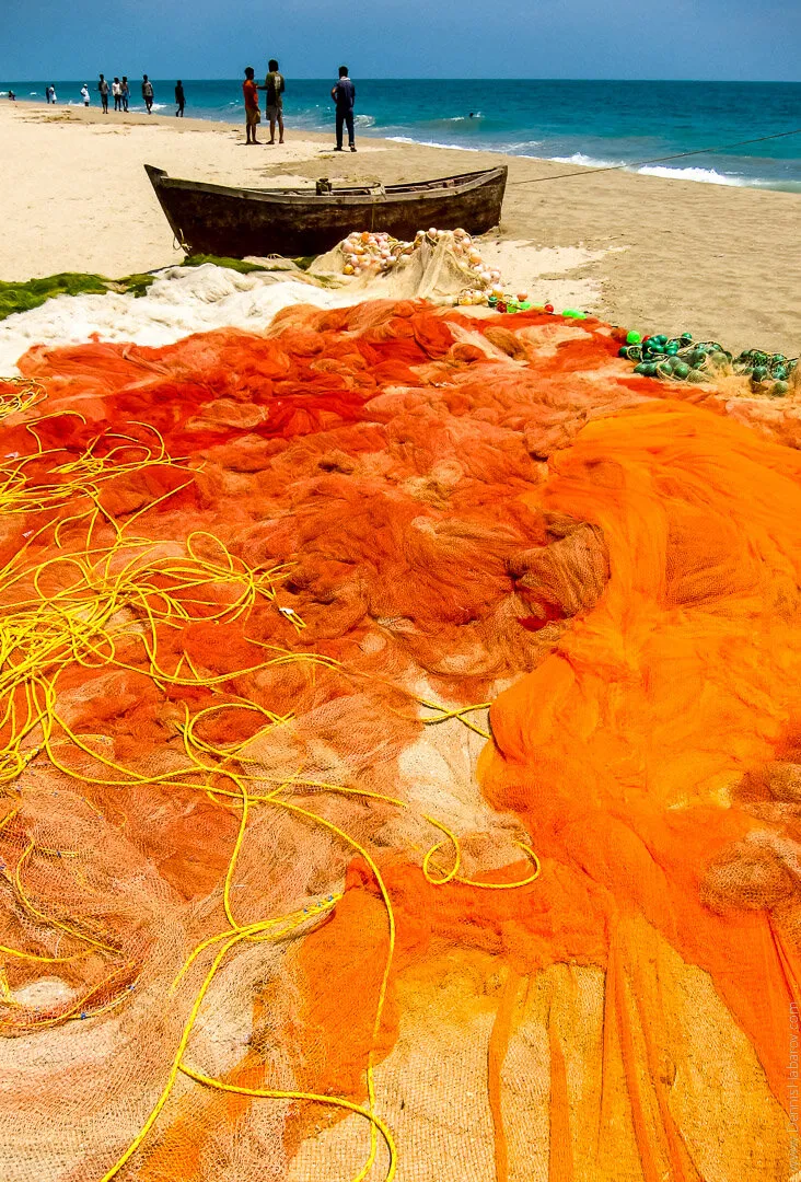 Fishing nets