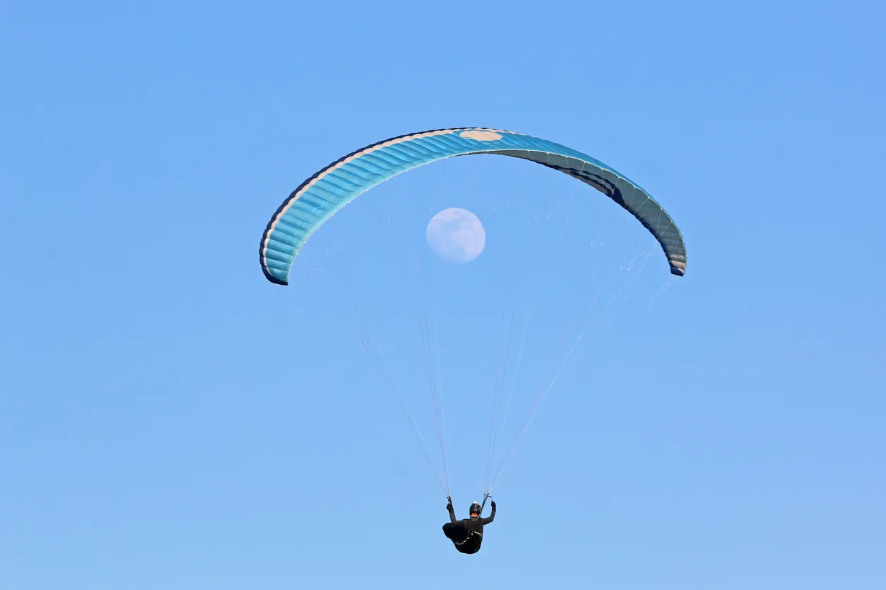 Entry 870010