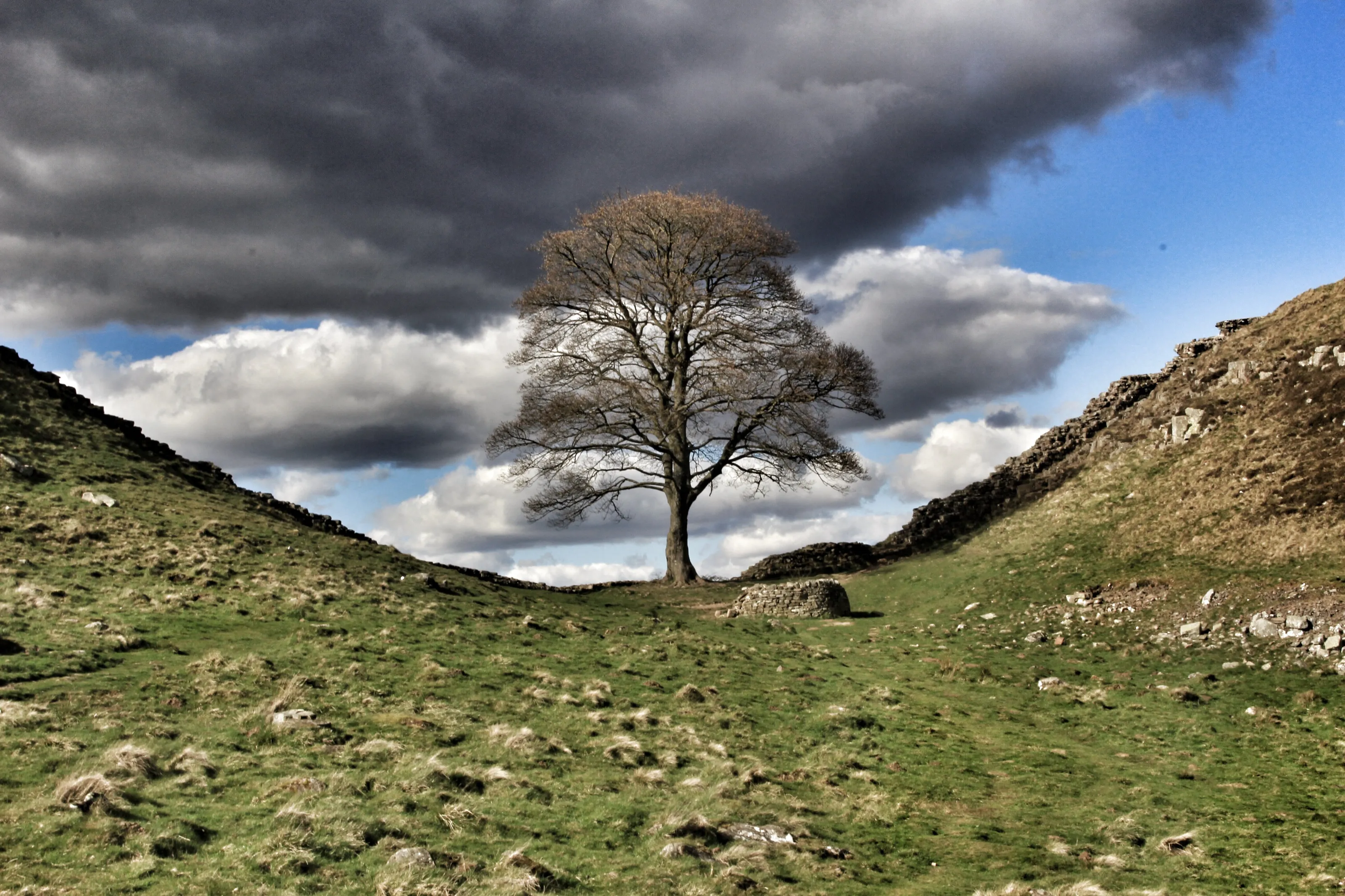 Sycamore Gap