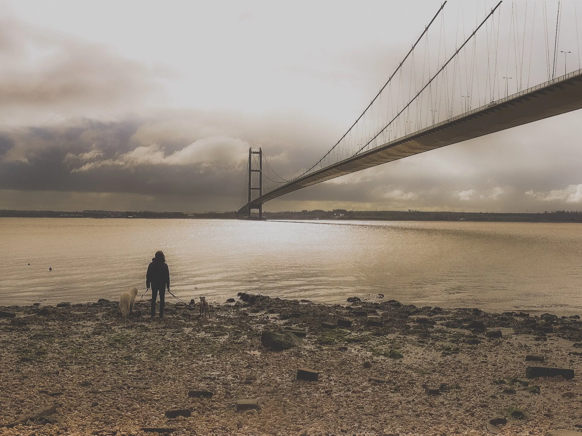 Humber Brigde