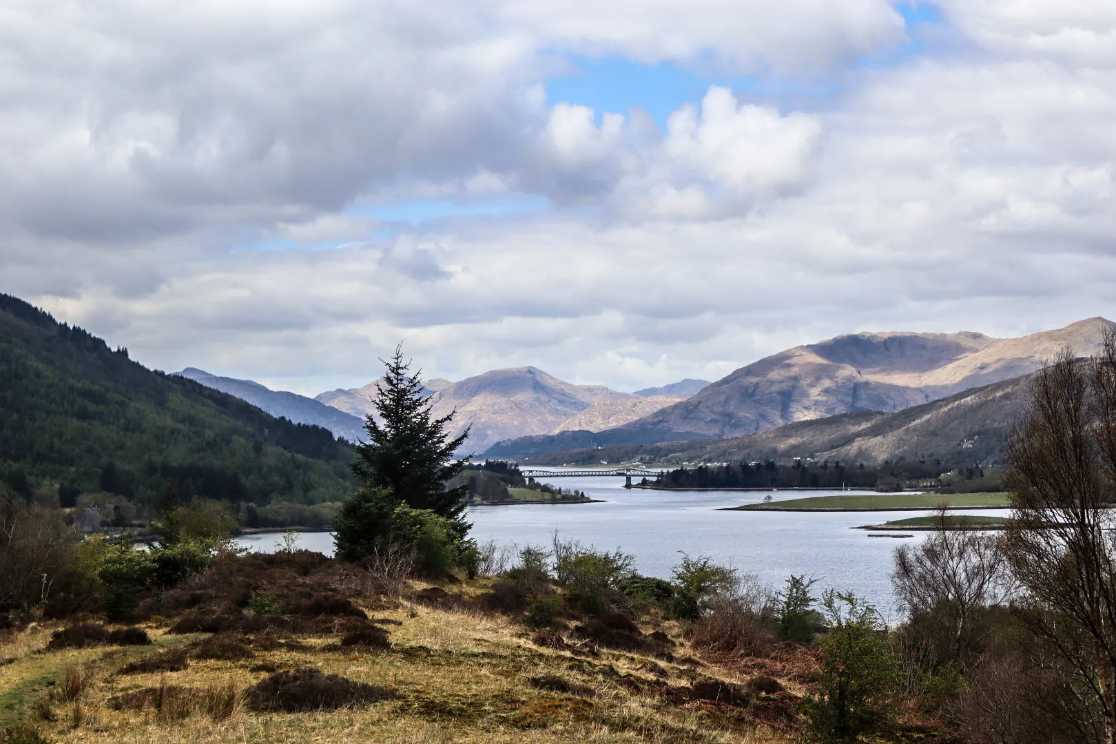 Landscape view