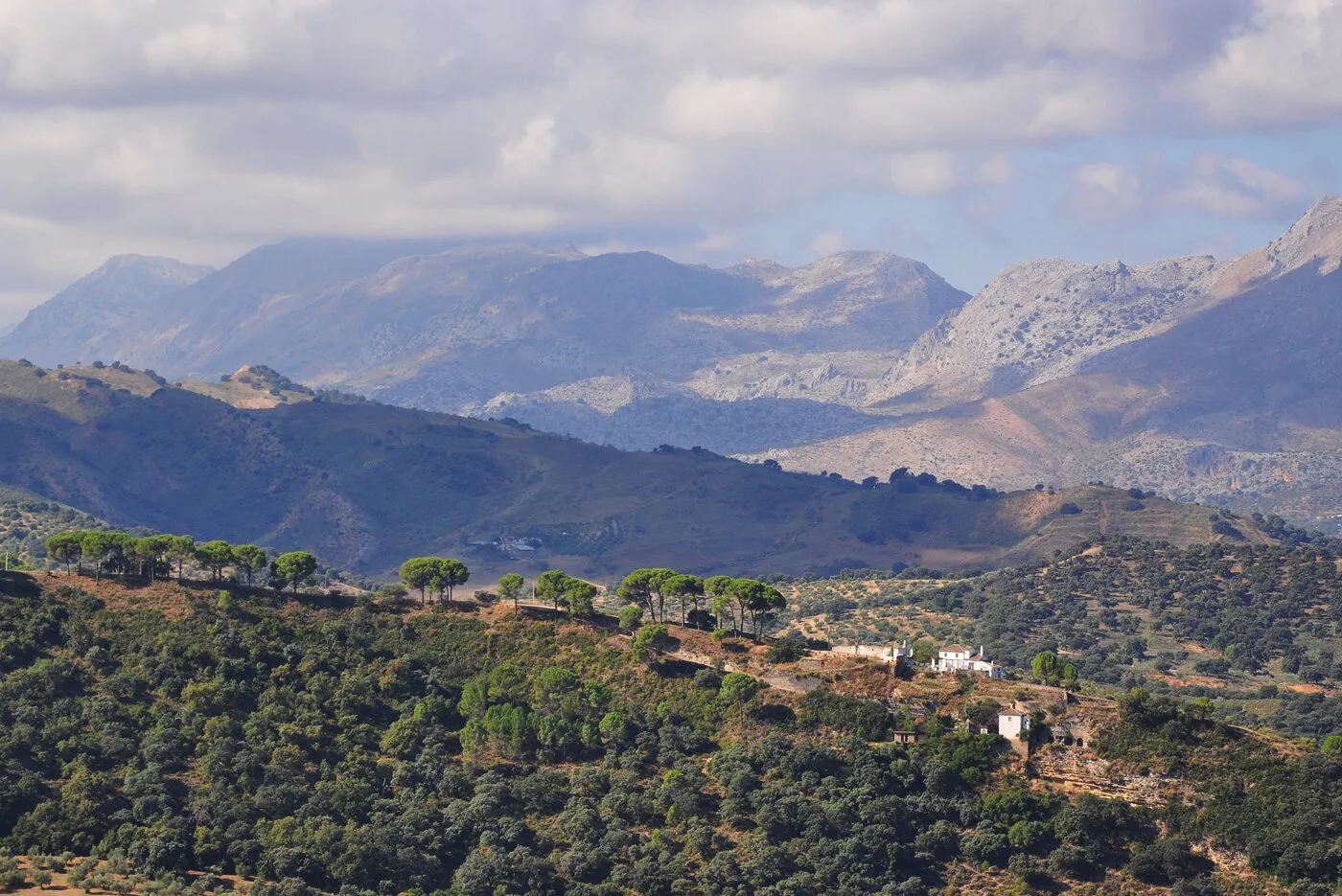 Sierra Nevada