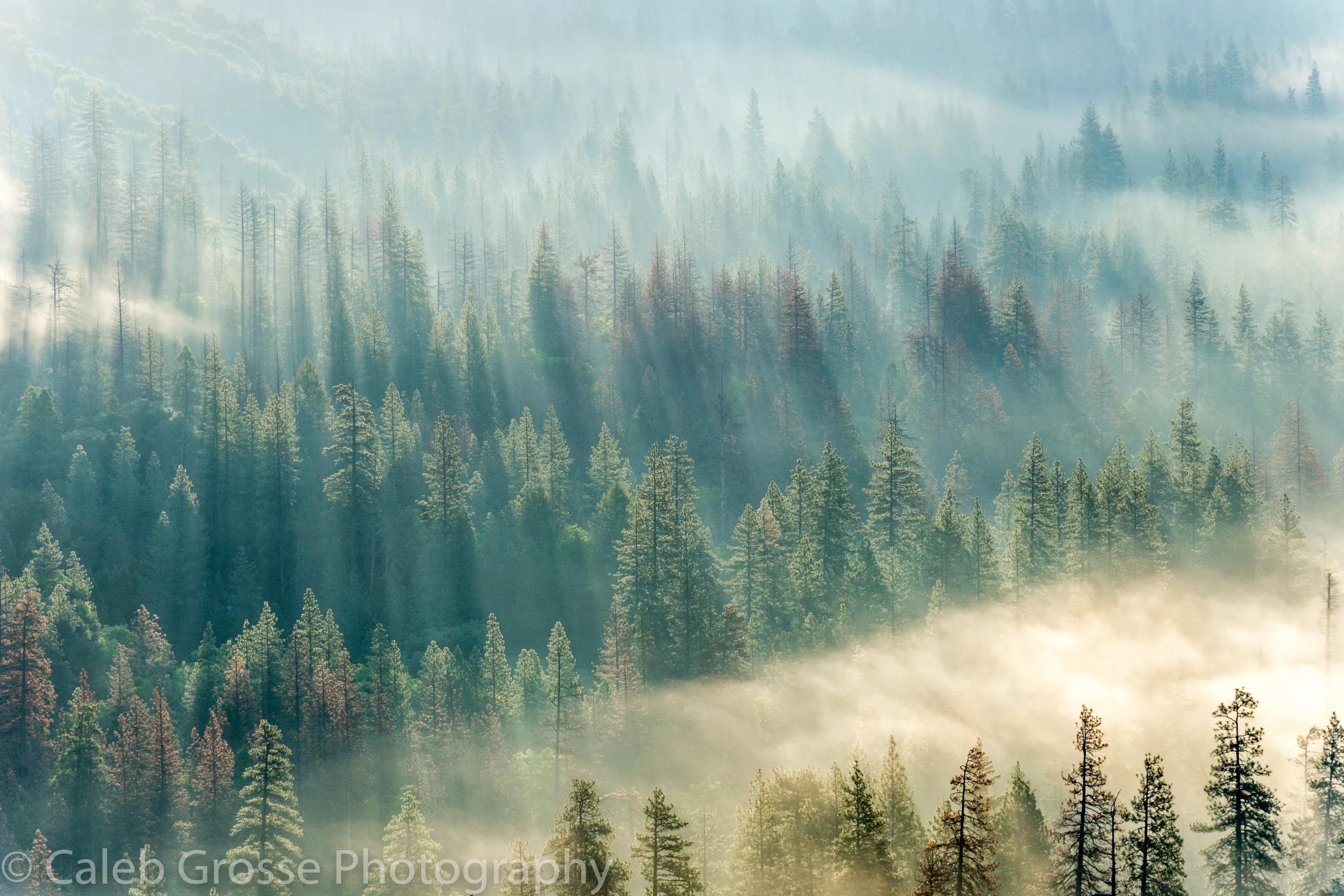 Dreams in Yosemite