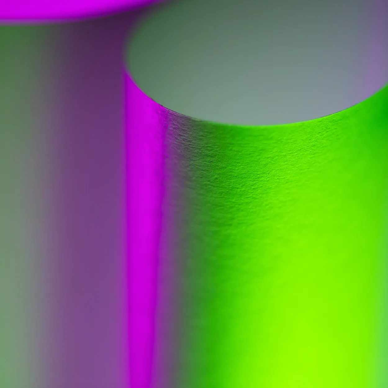 Entry 19560760