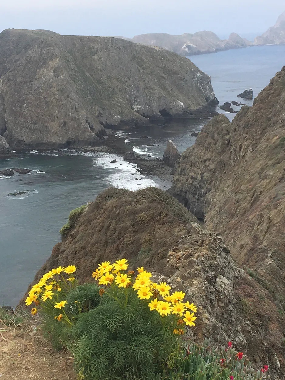 Entry 25234197