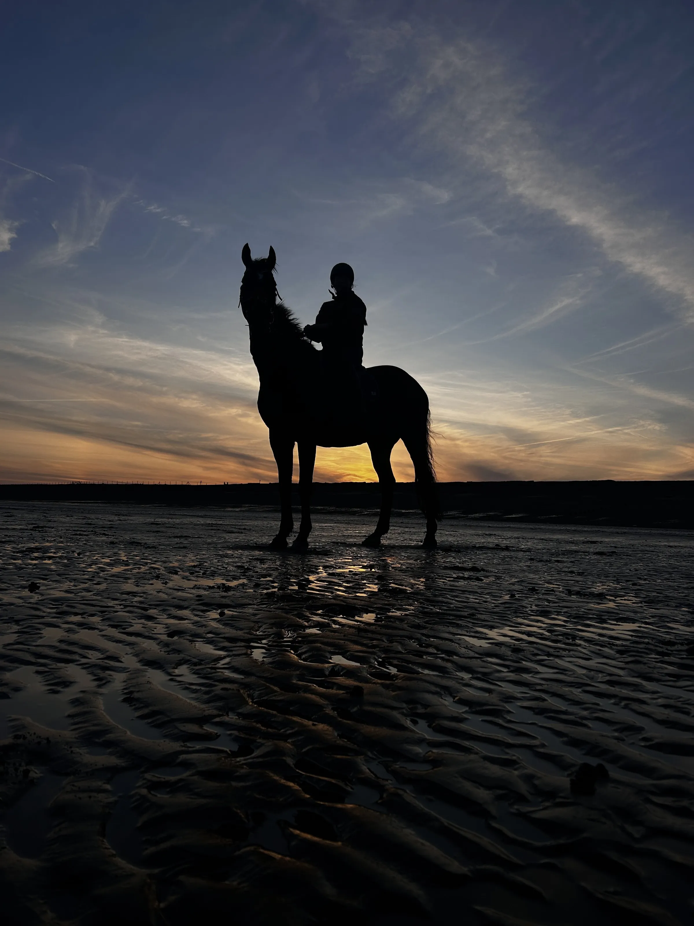 Sunset Silhouette