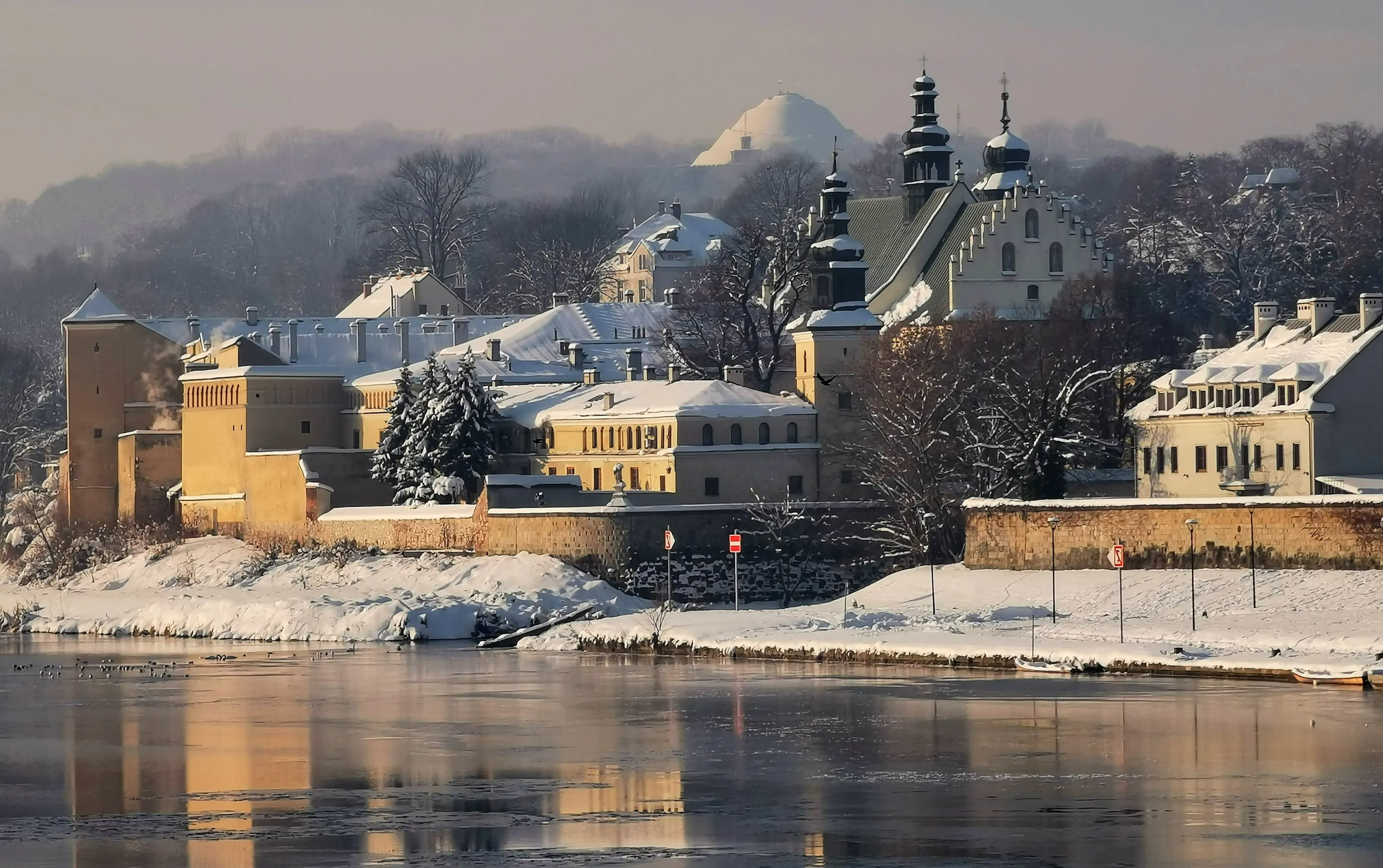 Winter landscape