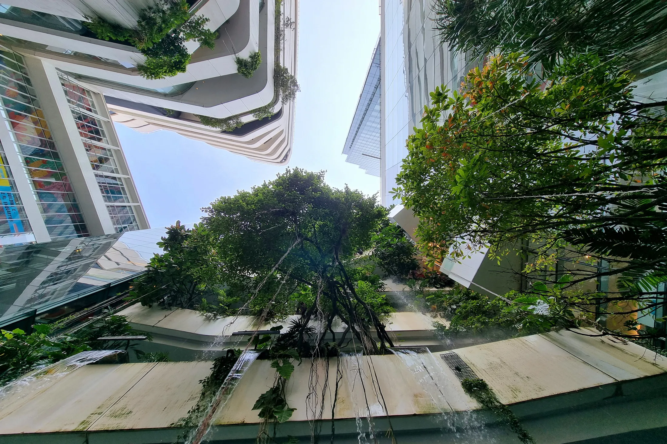 Hanging Garden in a Shopping Mall 2