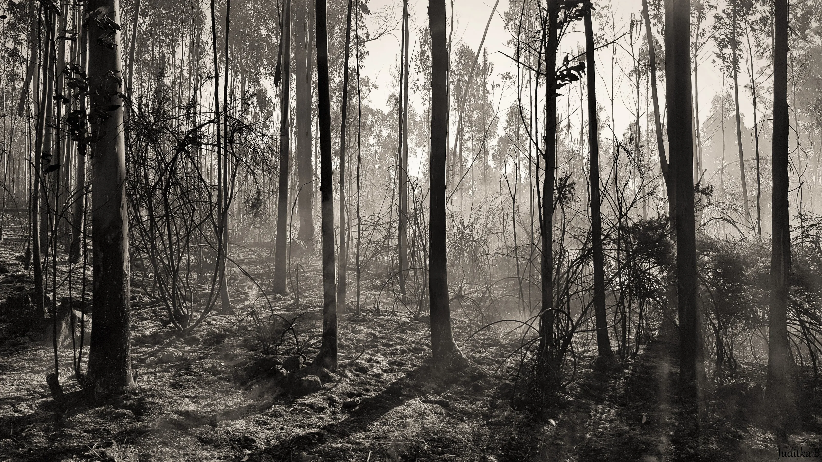 After Fire.