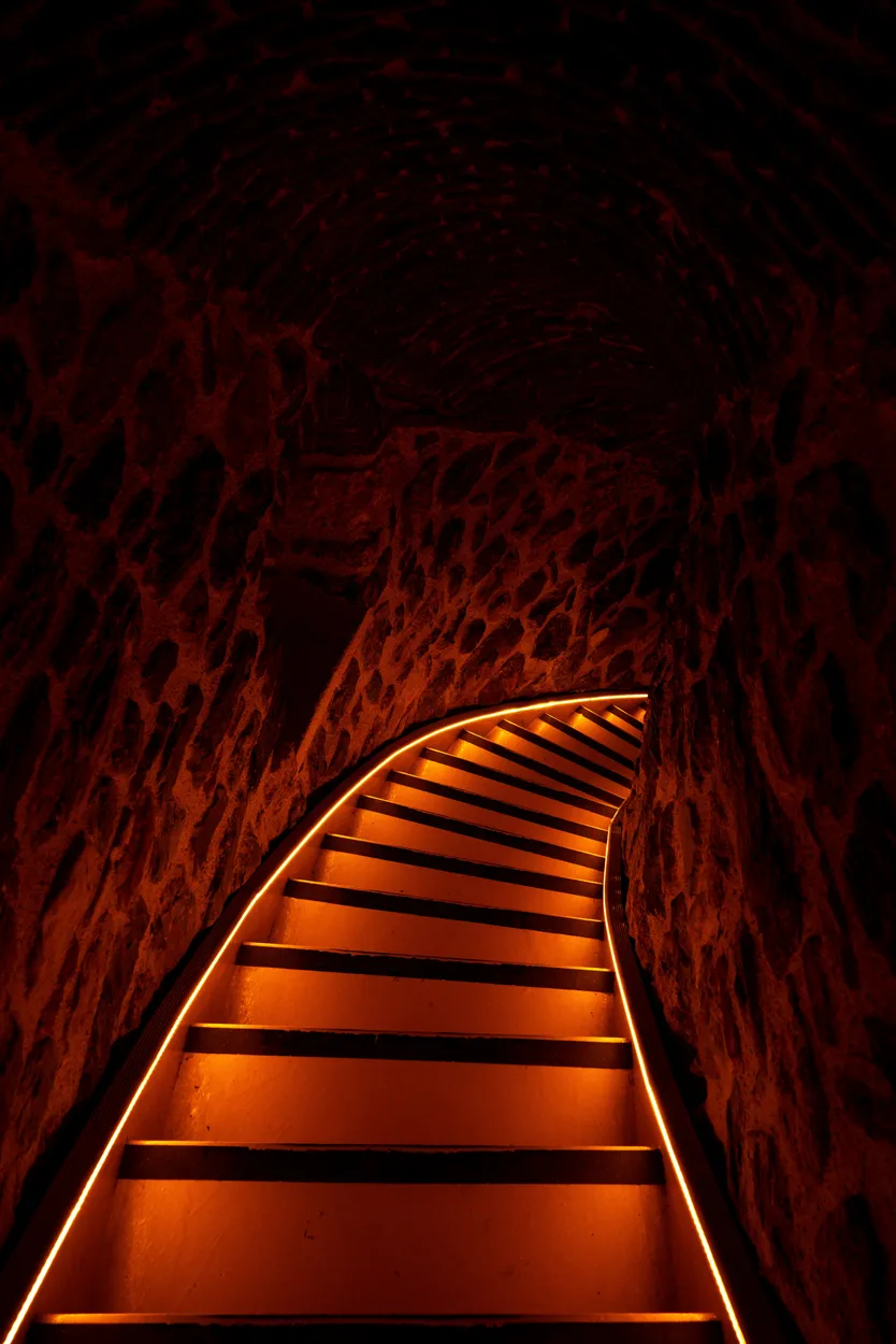 Entry 19108796
